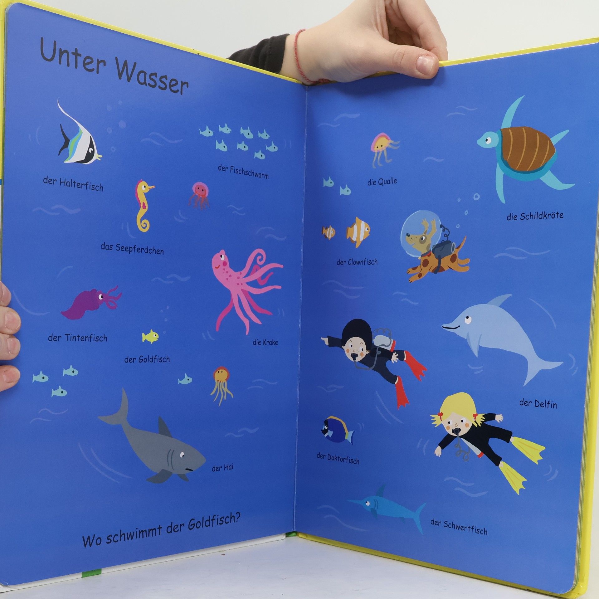 Autorenkollektiv Bildwörterbuch Tiere