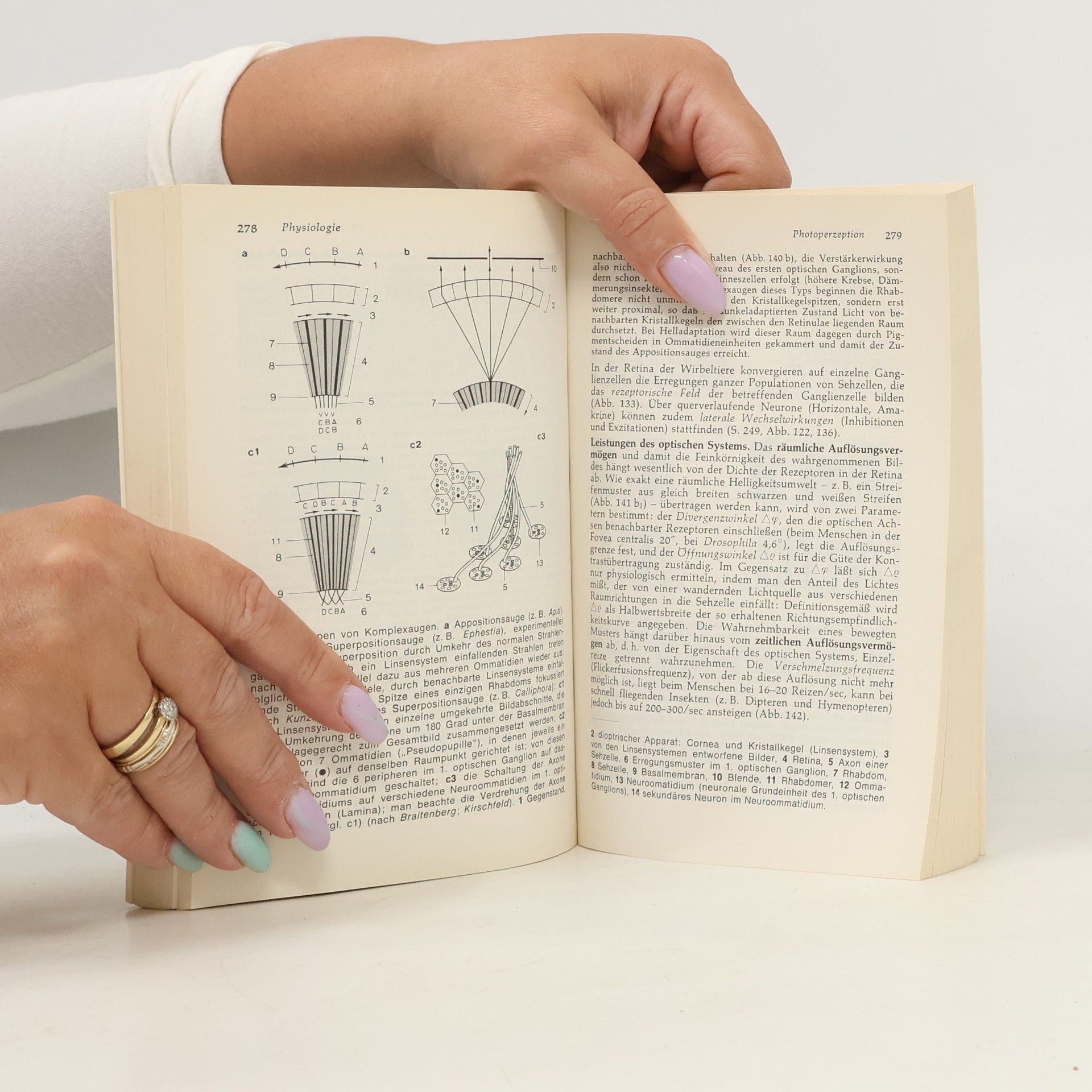 Ernst Hadorn Allgemeine Zoologie