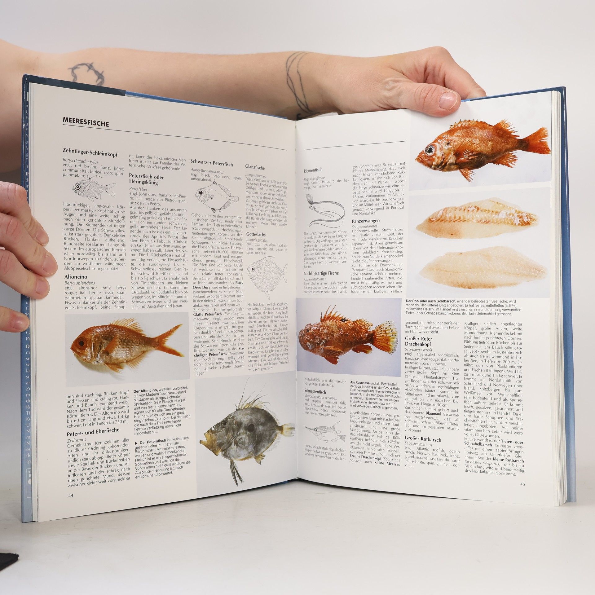 Christian Teubner Das grosse Buch vom Fisch