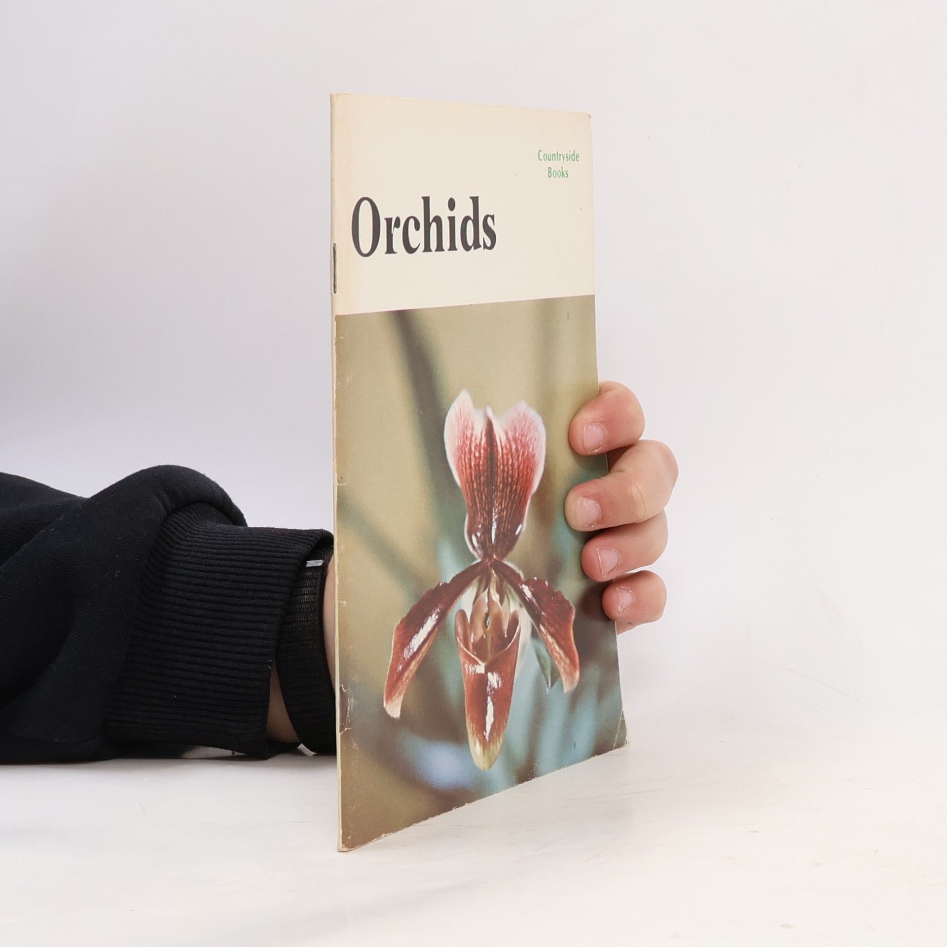 Autorenkollektiv Orchids