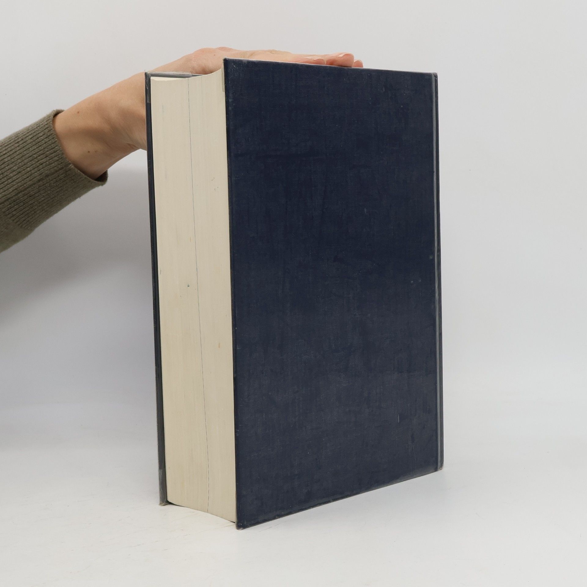 Werner Scholze Stubenrecht Duden-Oxford, Grosswörterbuch Englisch