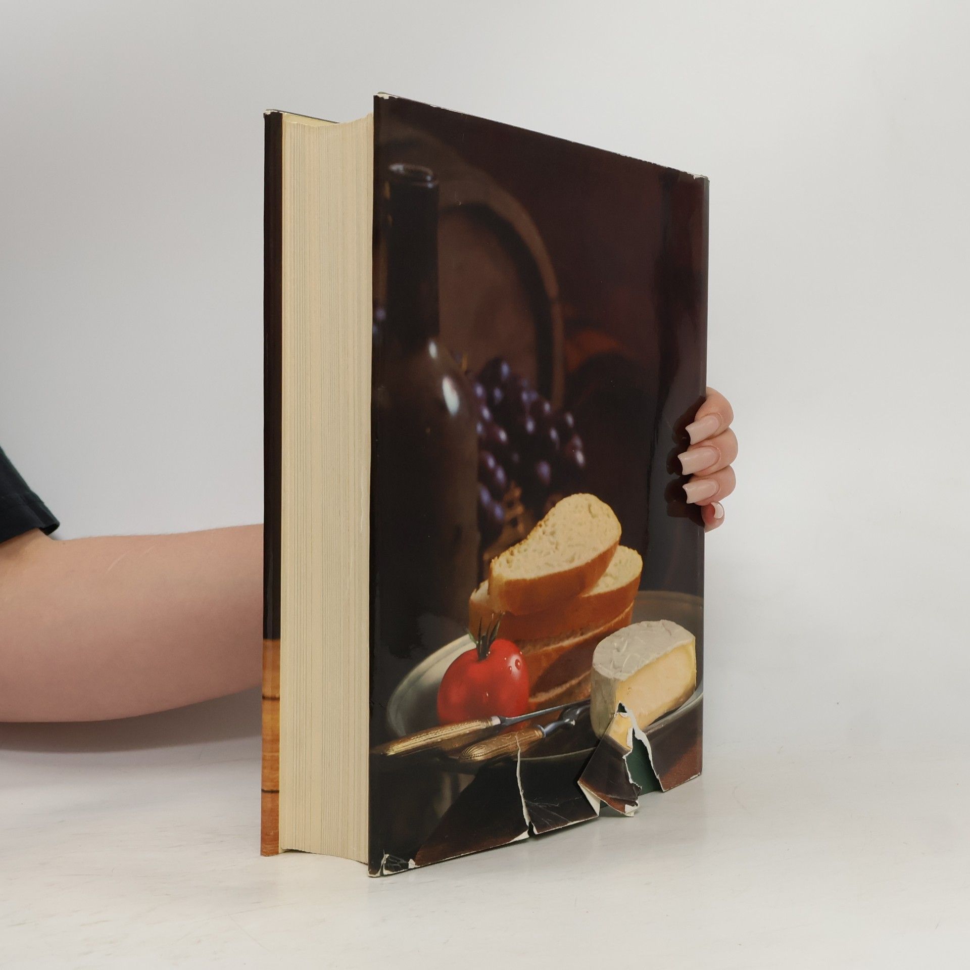 Kolektiv autorů Das Große Buch vom Wein