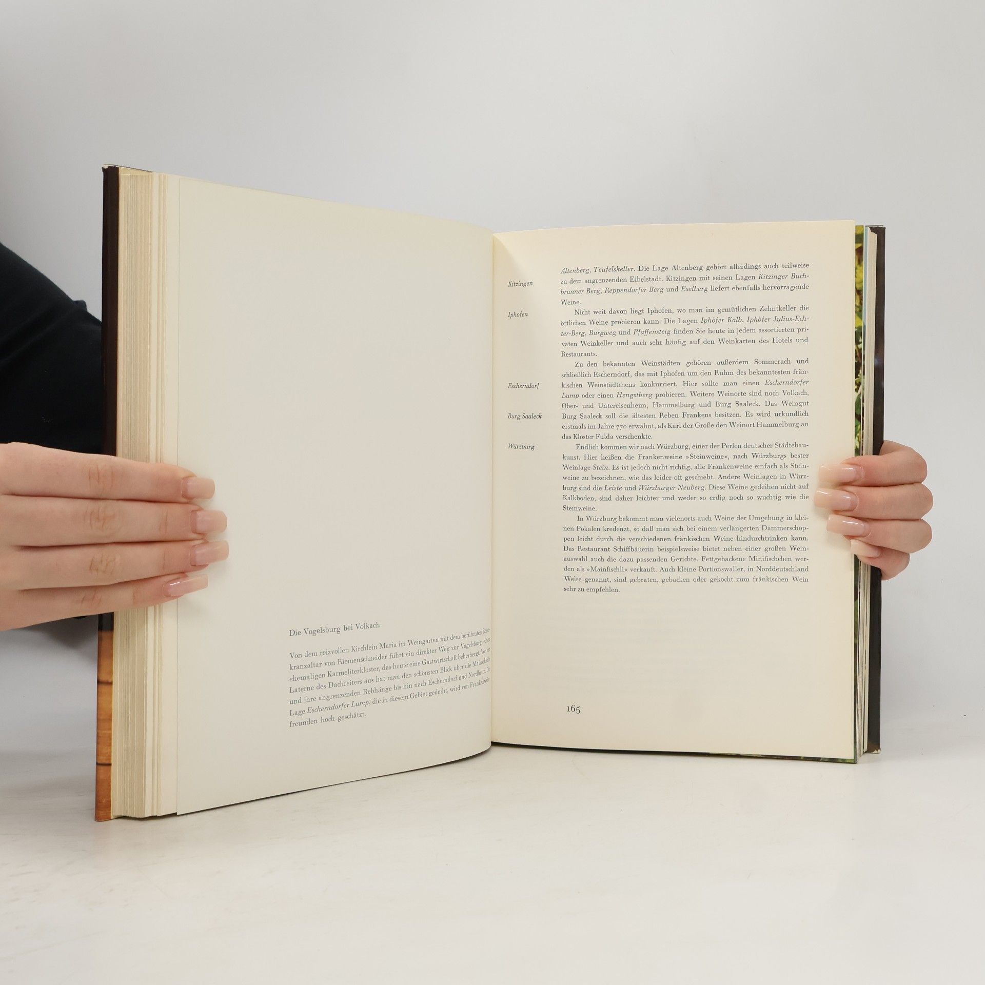 Kolektiv autorů Das Große Buch vom Wein