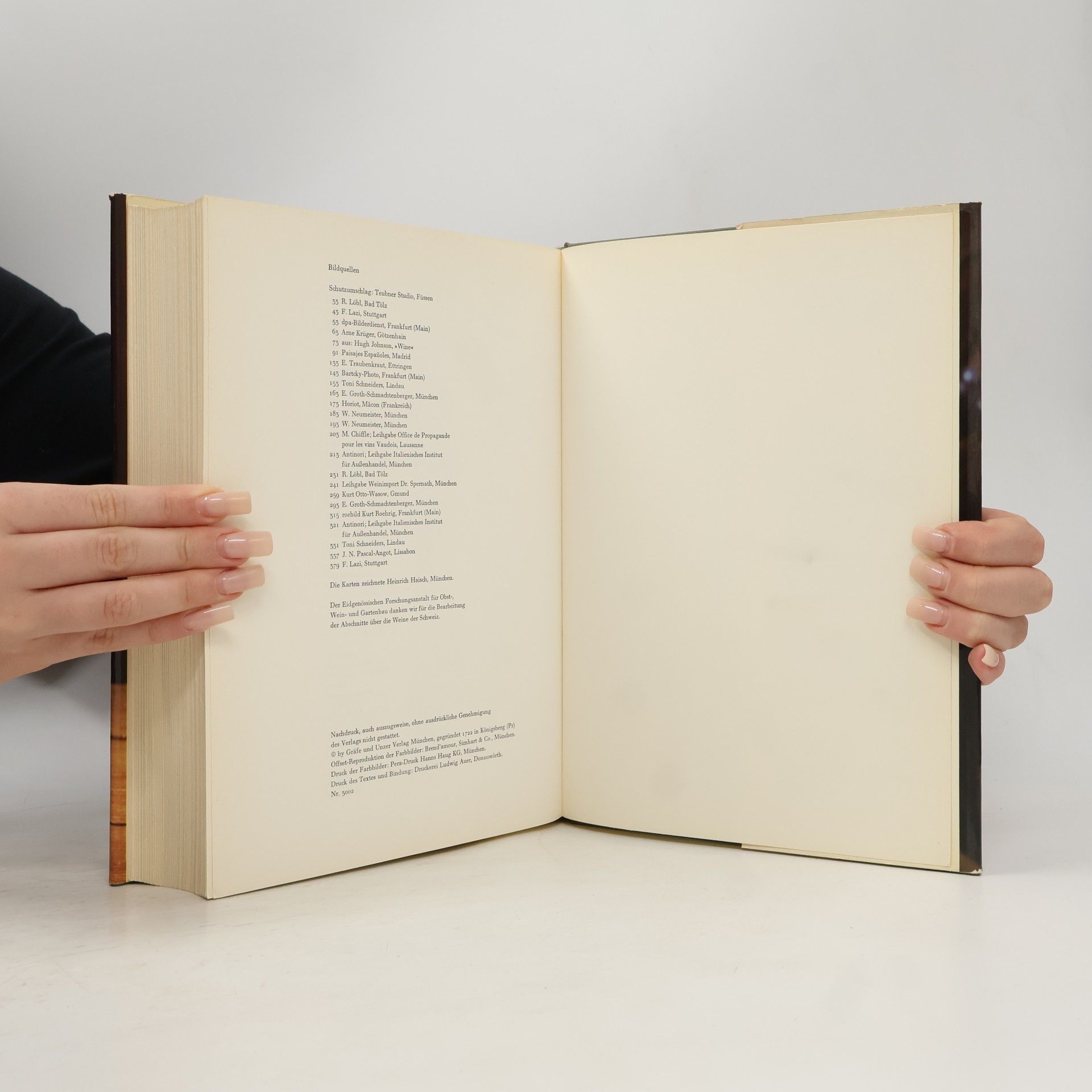 Kolektiv autorů Das Große Buch vom Wein