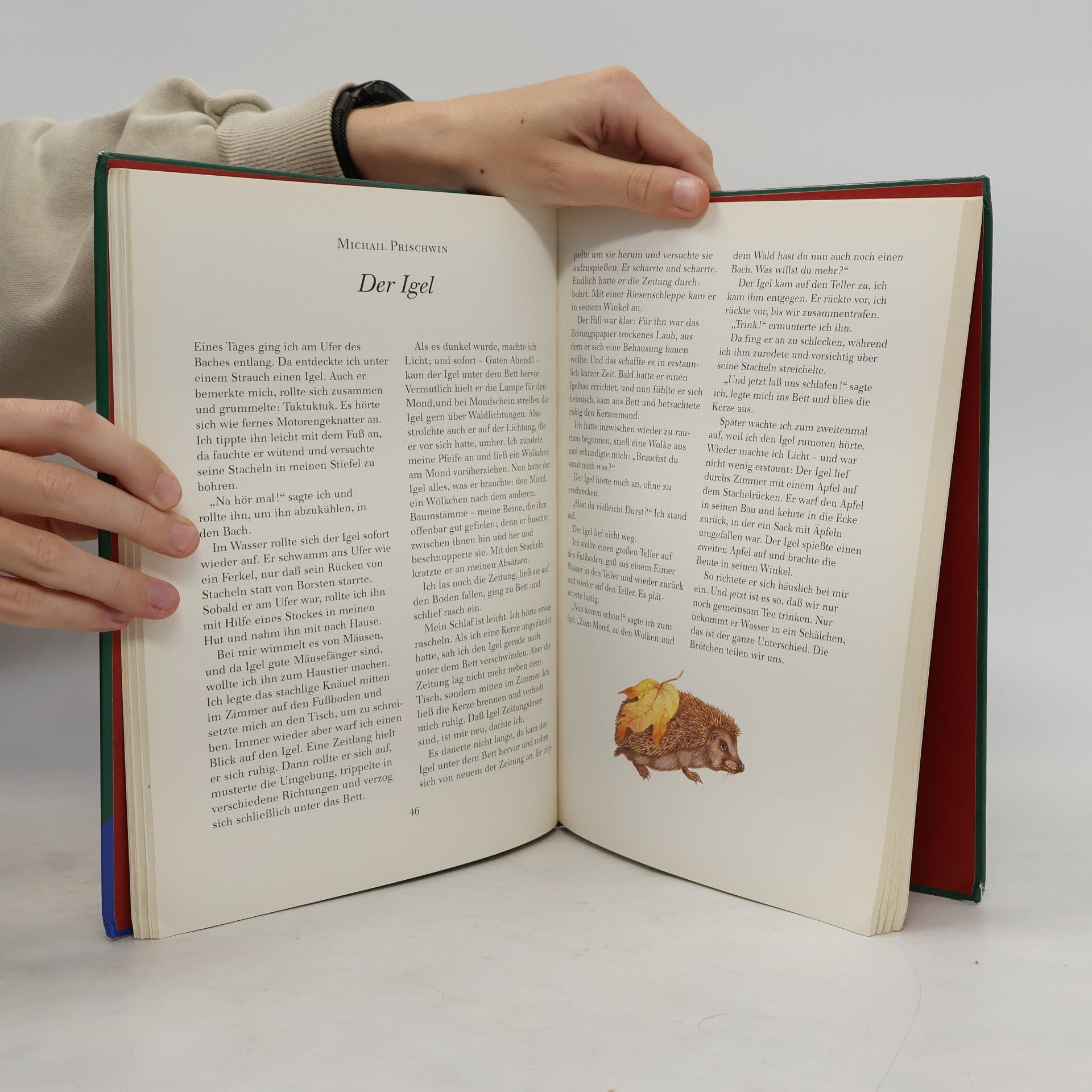 Ines Wiseman Das Ravensburger Buch der Tiergeschichten