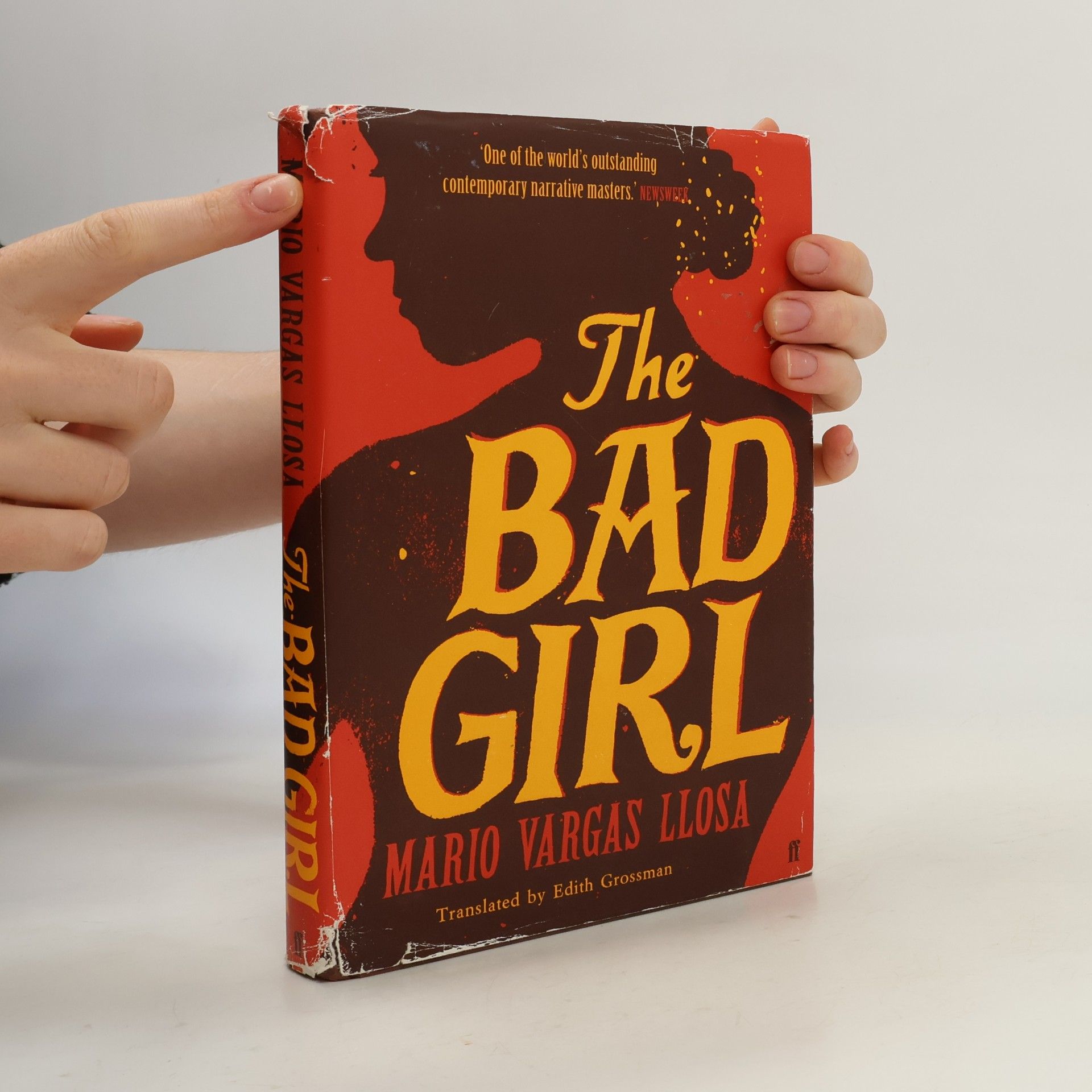 Mario Vargas Llosa The Bad Girl