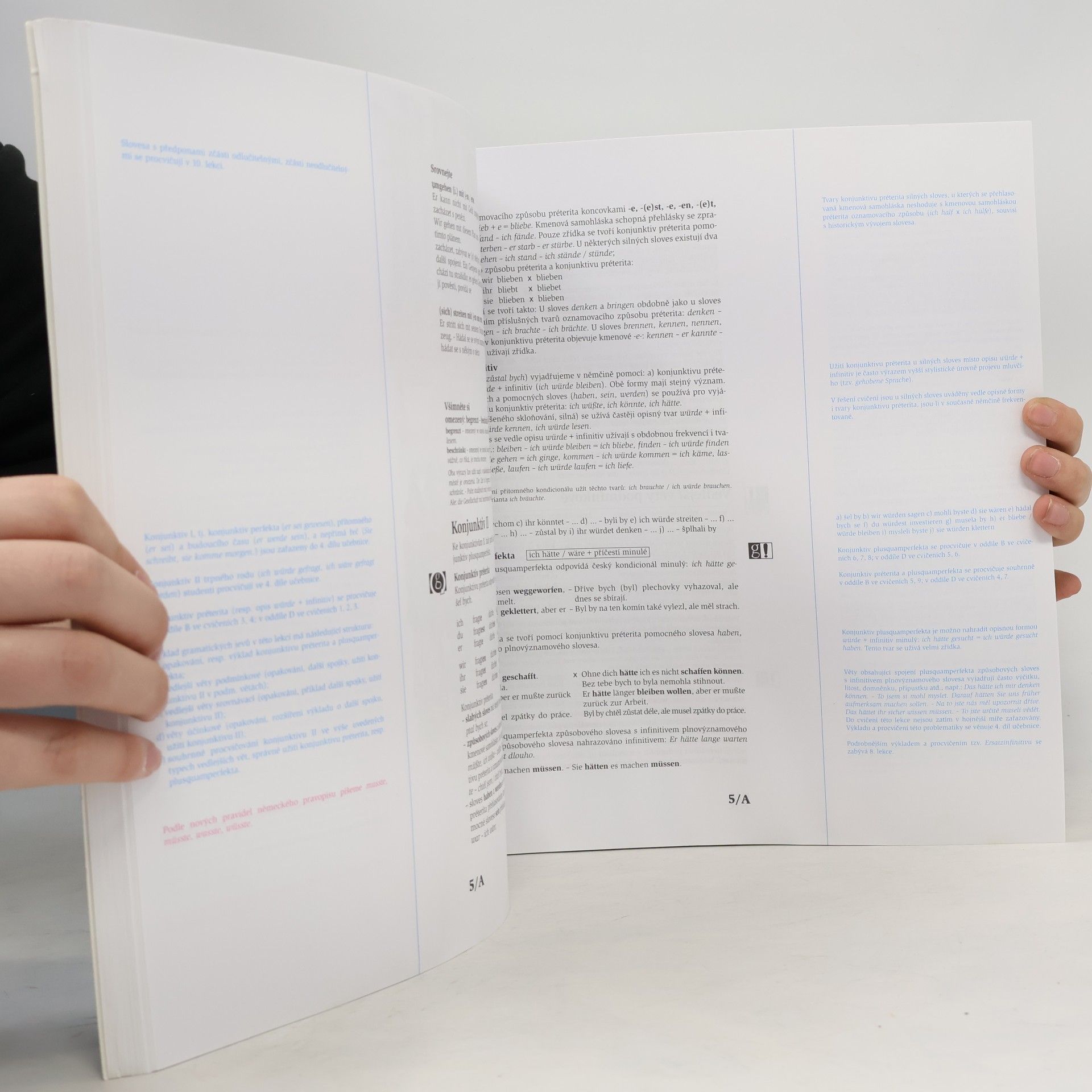 Various authors Sprechen Sie Deutsch? (kniha pro učitele)