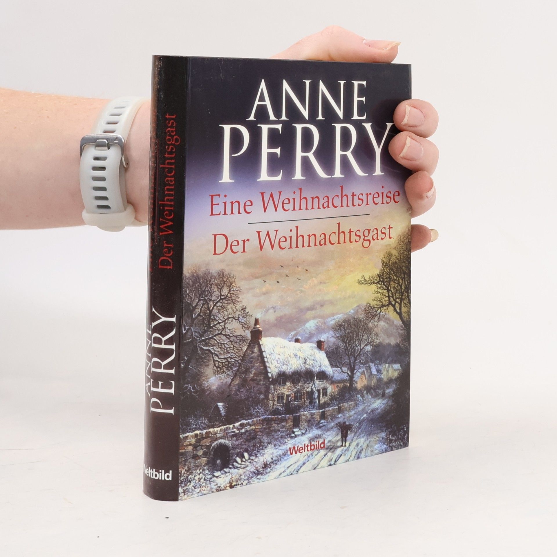 Anne Perry Eine Weihnachtsreise. Der Weihnachtsgast