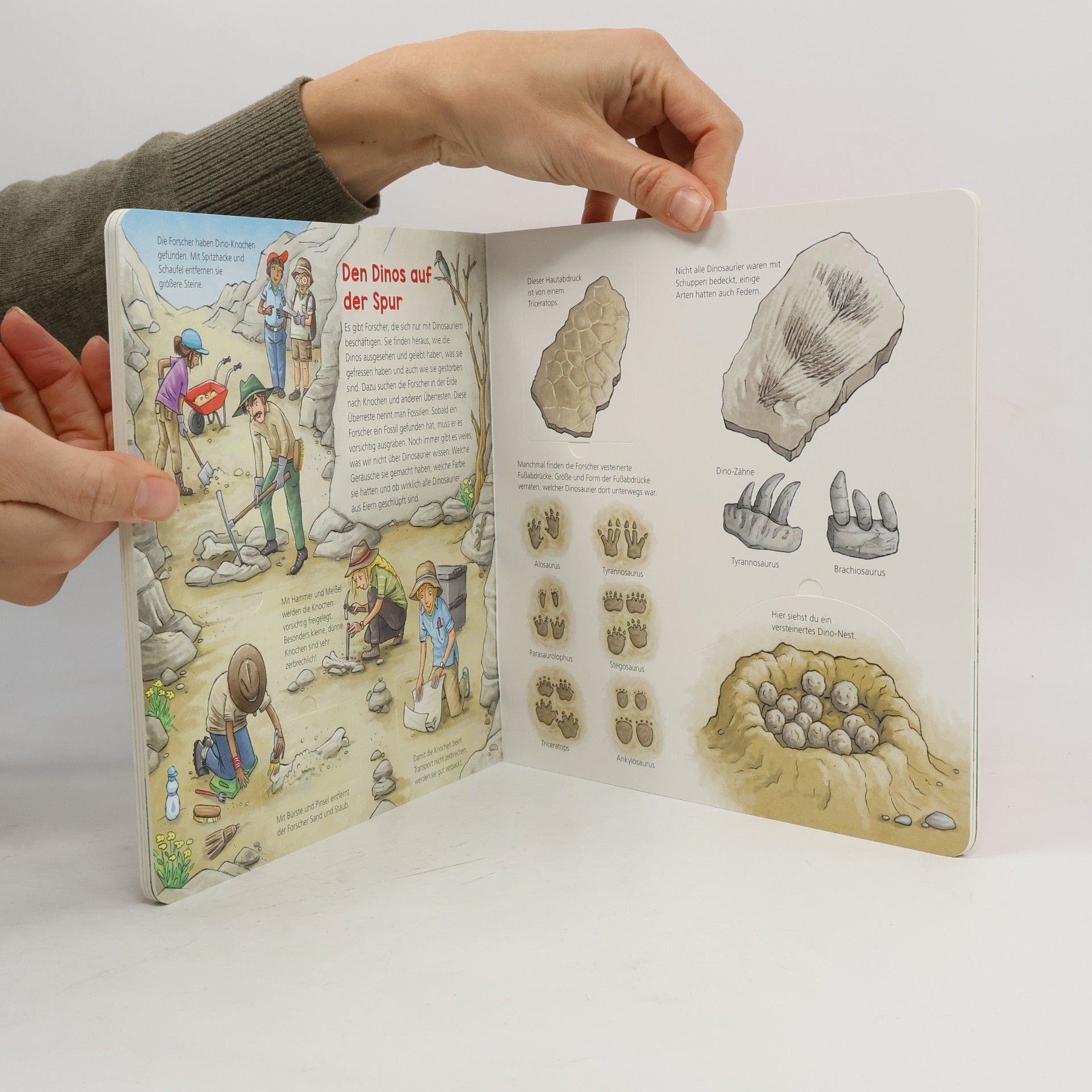 Benjamin Schreuder Entdeckerbuch DINOSAURIER