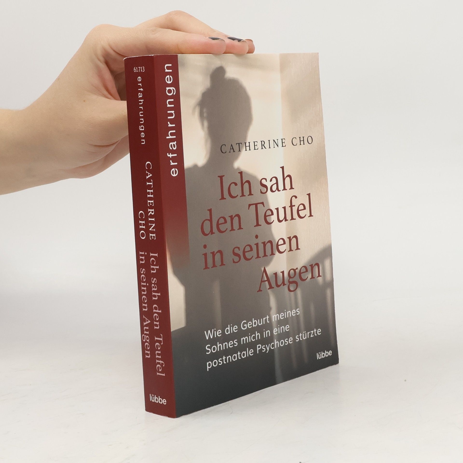 Catherine Cho Ich sah den Teufel in seinen Augen