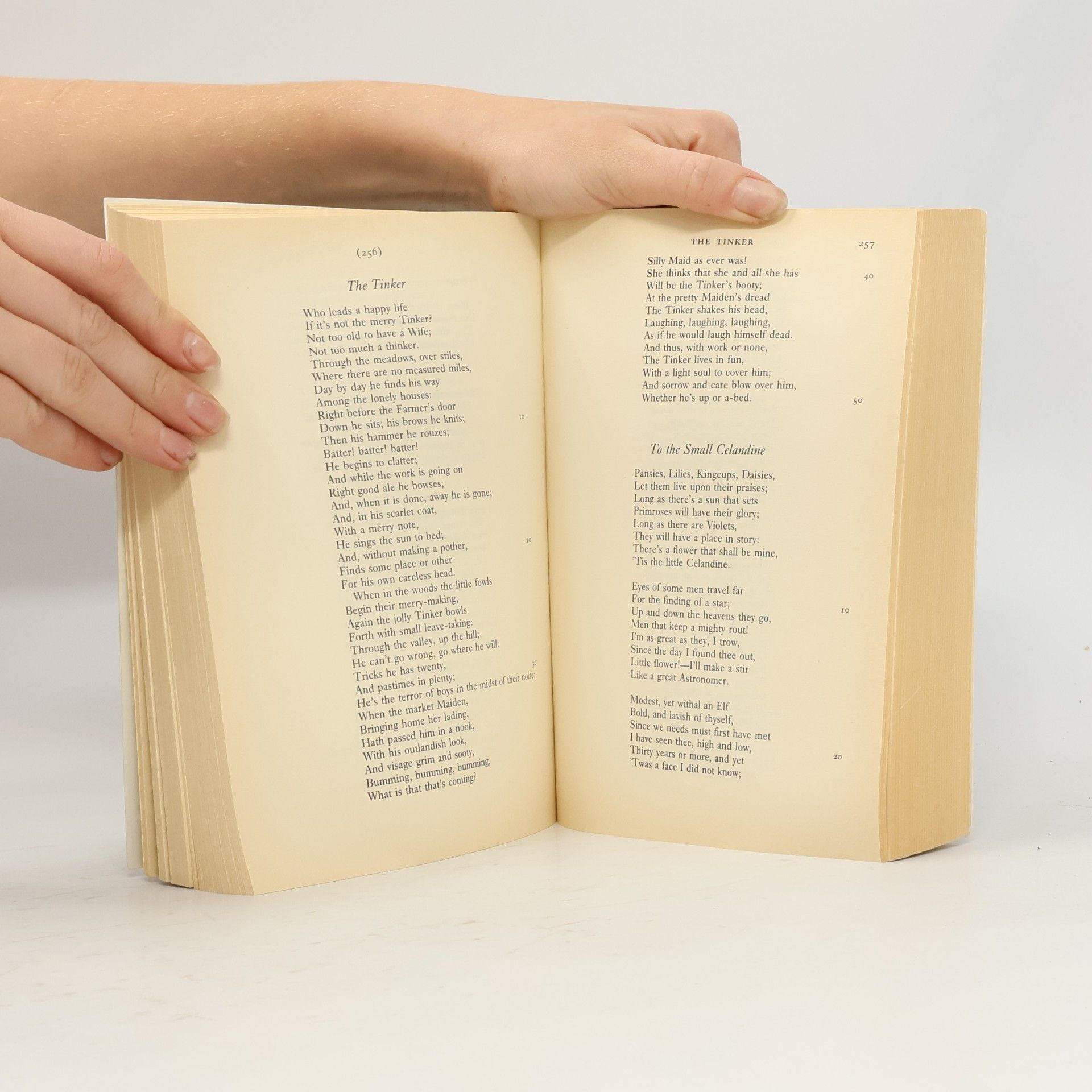 Stephen Gill William Wordsworth