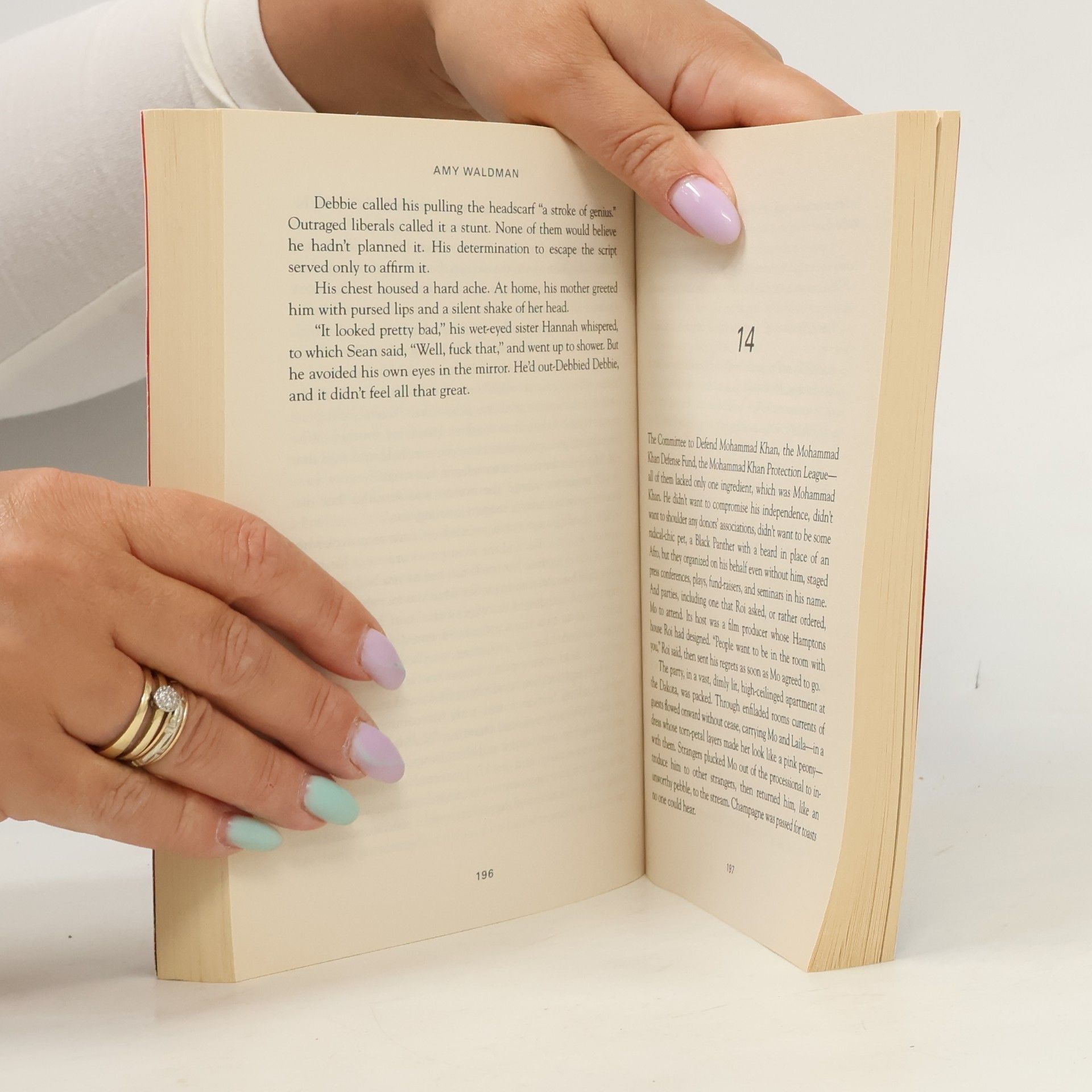 Amy Waldman The Submission. Der amerikanische Architekt, englische Ausgabe