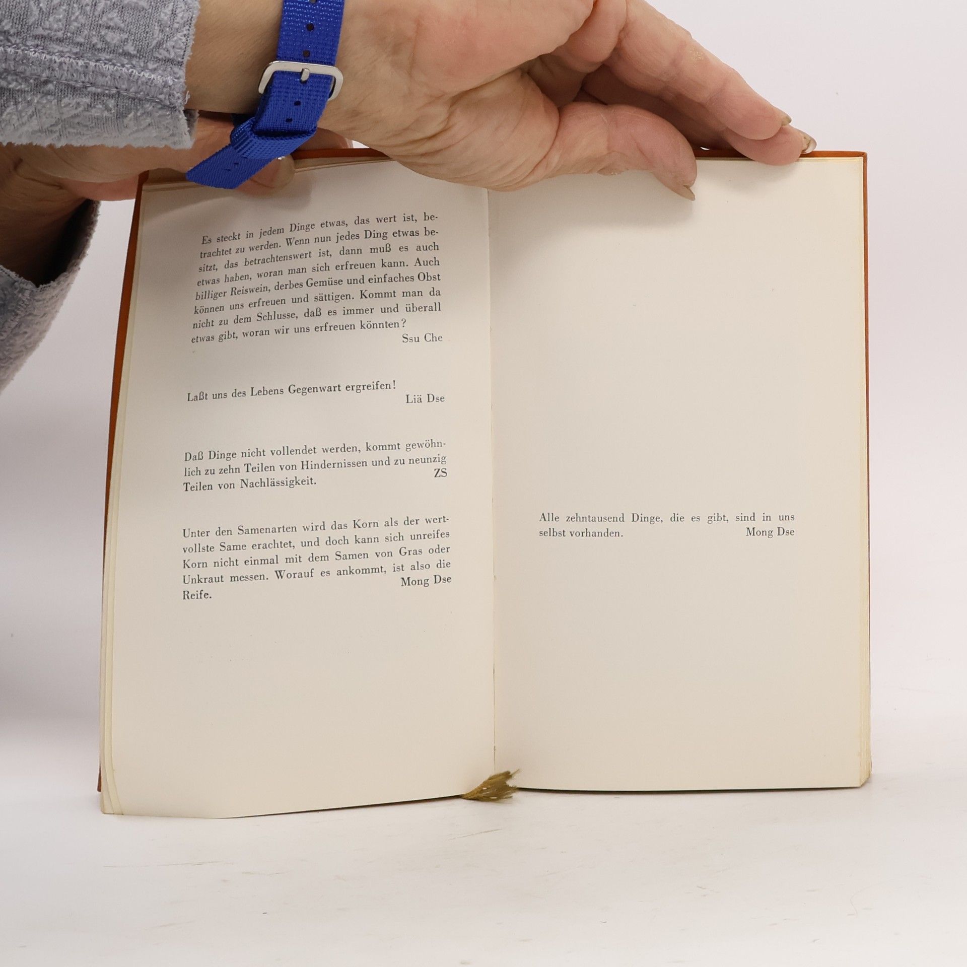 Heinrich Tieck Wenn ein Blatt sich bewegt, kann auch der Ast erzittern: Gedanken chinesischer Weiser
