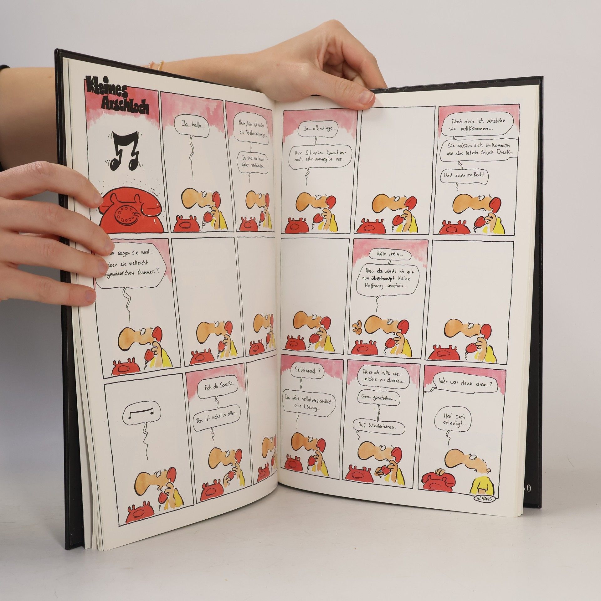 Walter Moers Das Grosse Buch vom Kleinen Arschloch