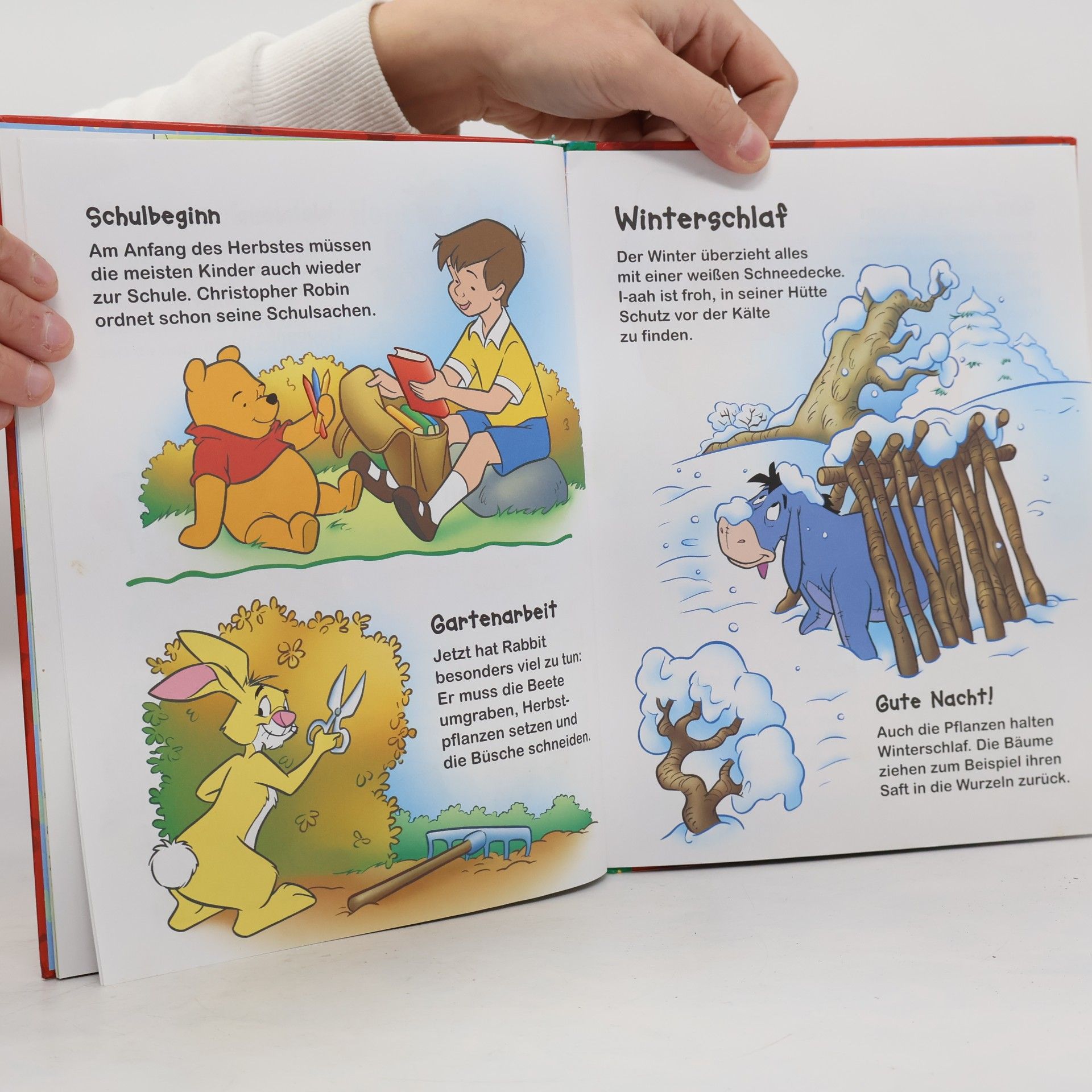 Autorenkollektiv Winnie Puuh: Entdecke die jahreszeiten