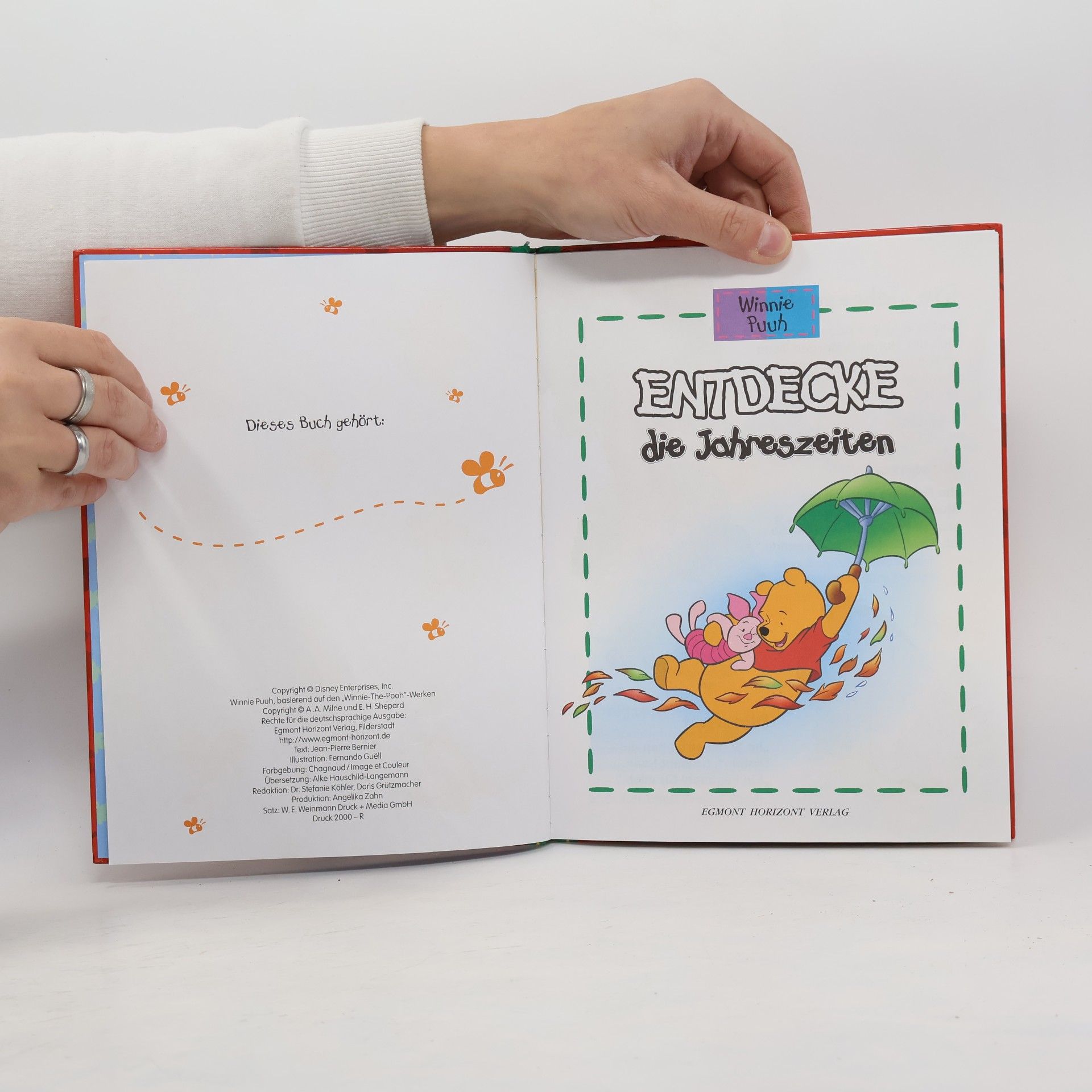Autorenkollektiv Winnie Puuh: Entdecke die jahreszeiten