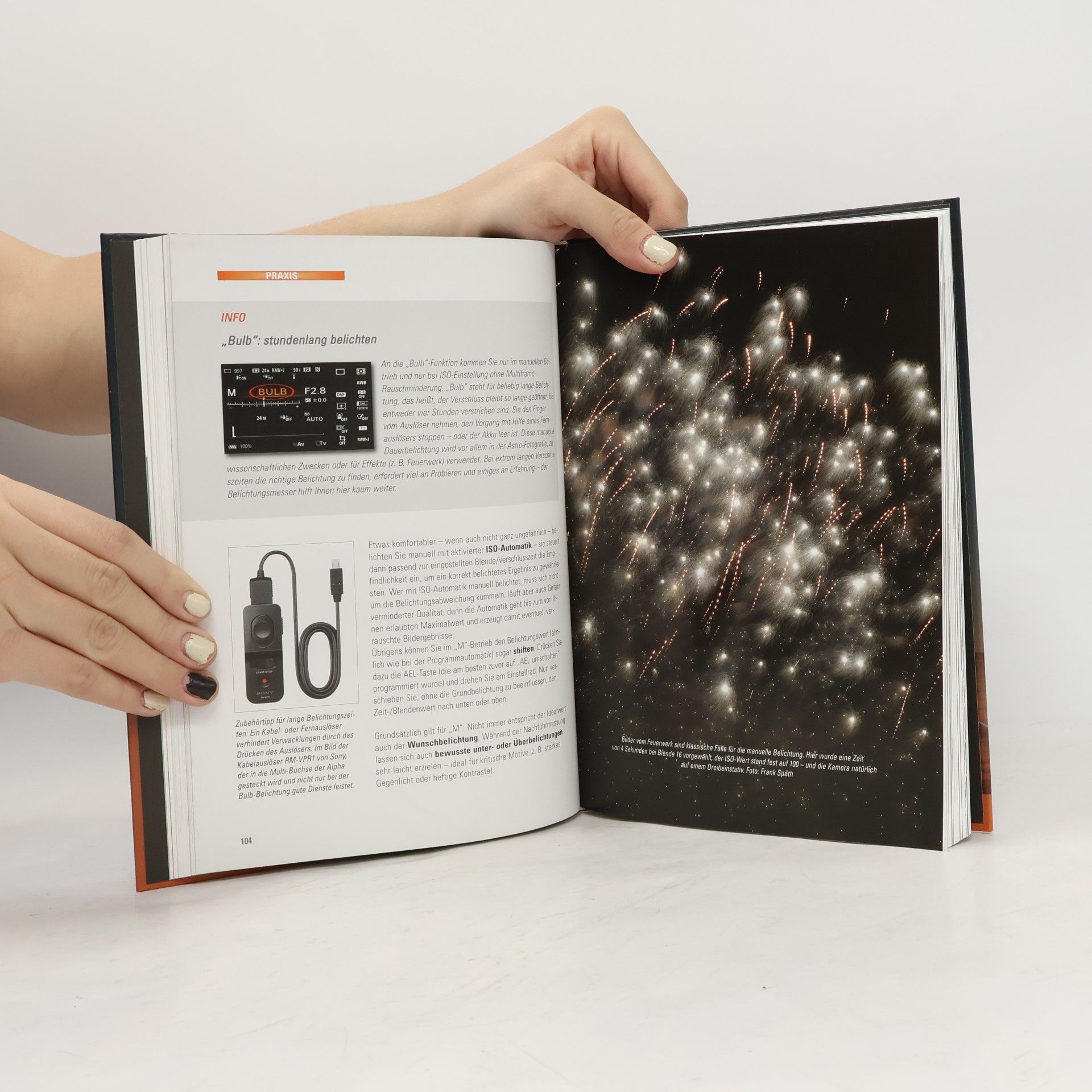 Frank Späth Sony Alpha 6000. Das Buch zur Kamera