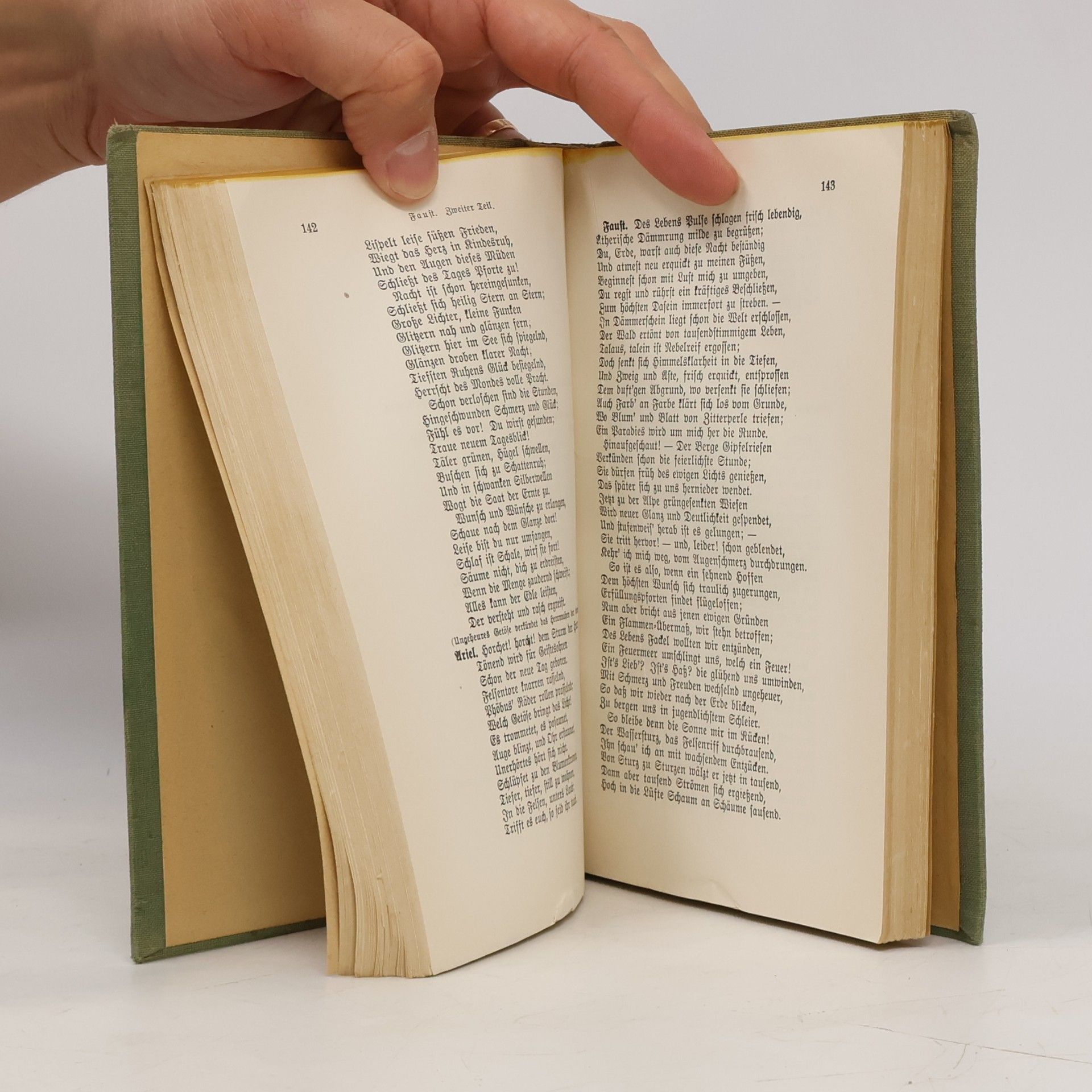 Goethe Werke