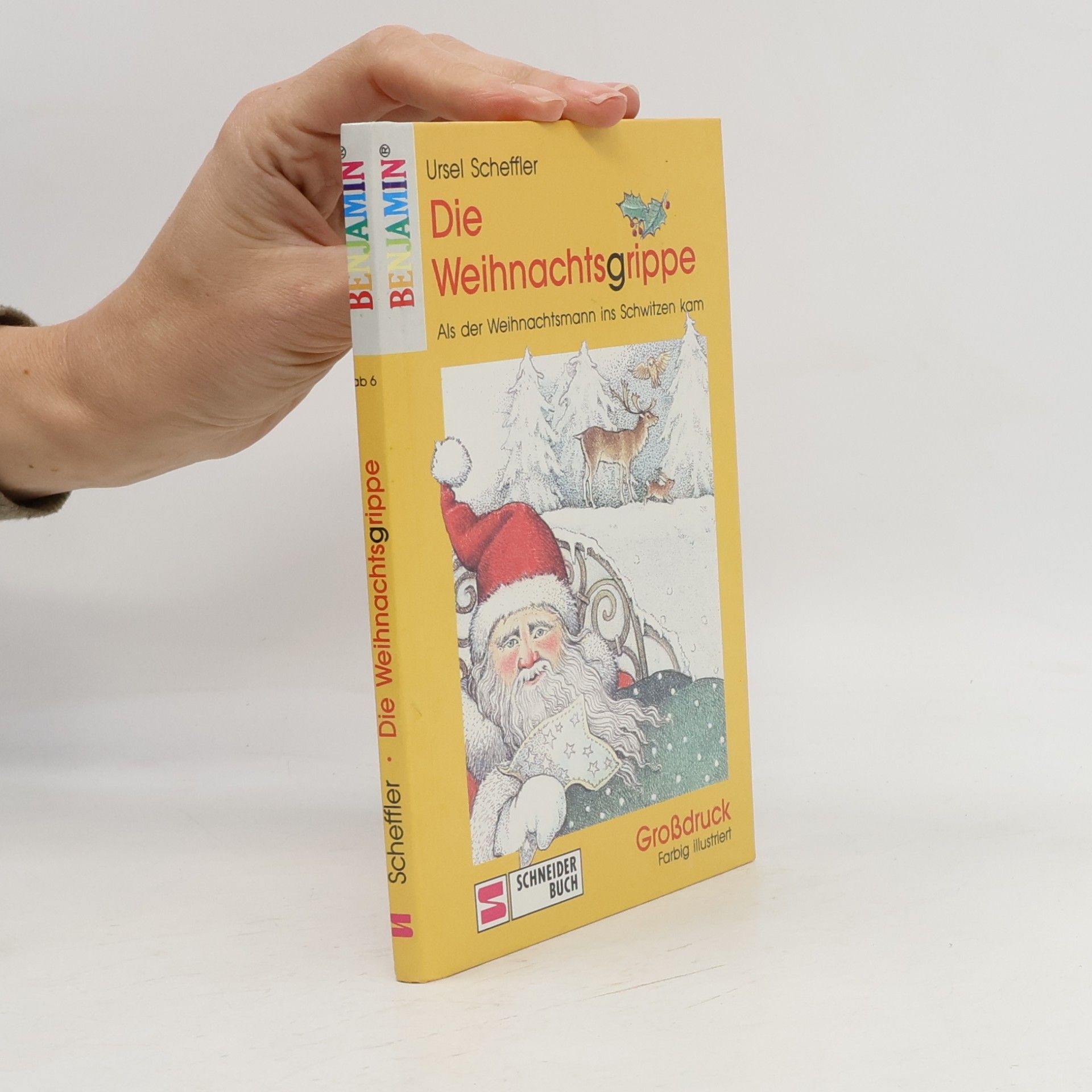 Ursel Scheffler Benjamin: Die Weihnachtsgrippe