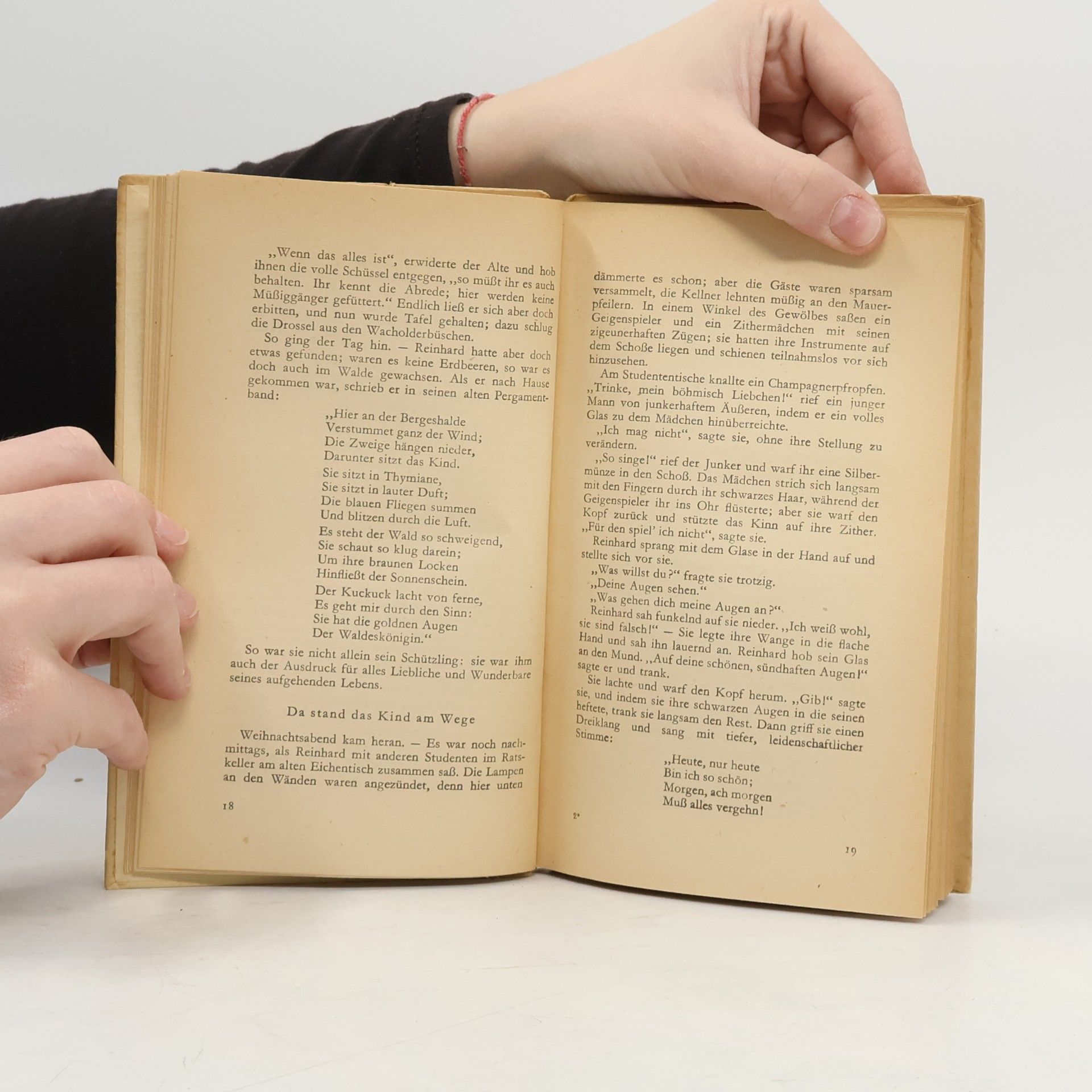 Theodor Storm Immensee / Im Sonnenschein Ein grünes Blatt / Abseits