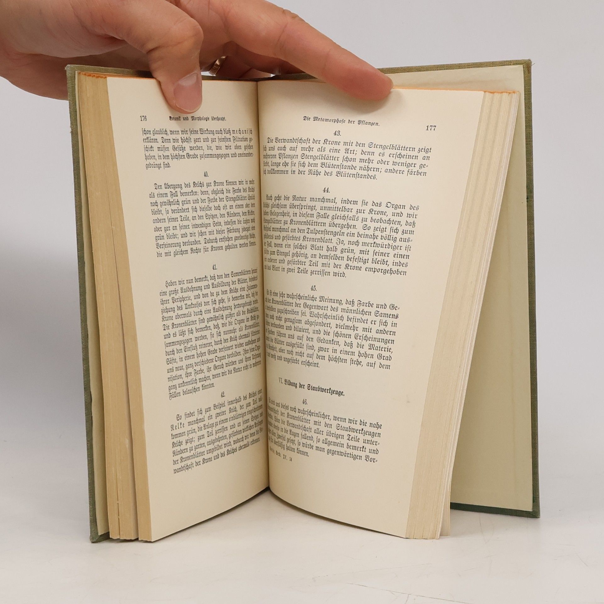 Goethe Goethes Werke 1