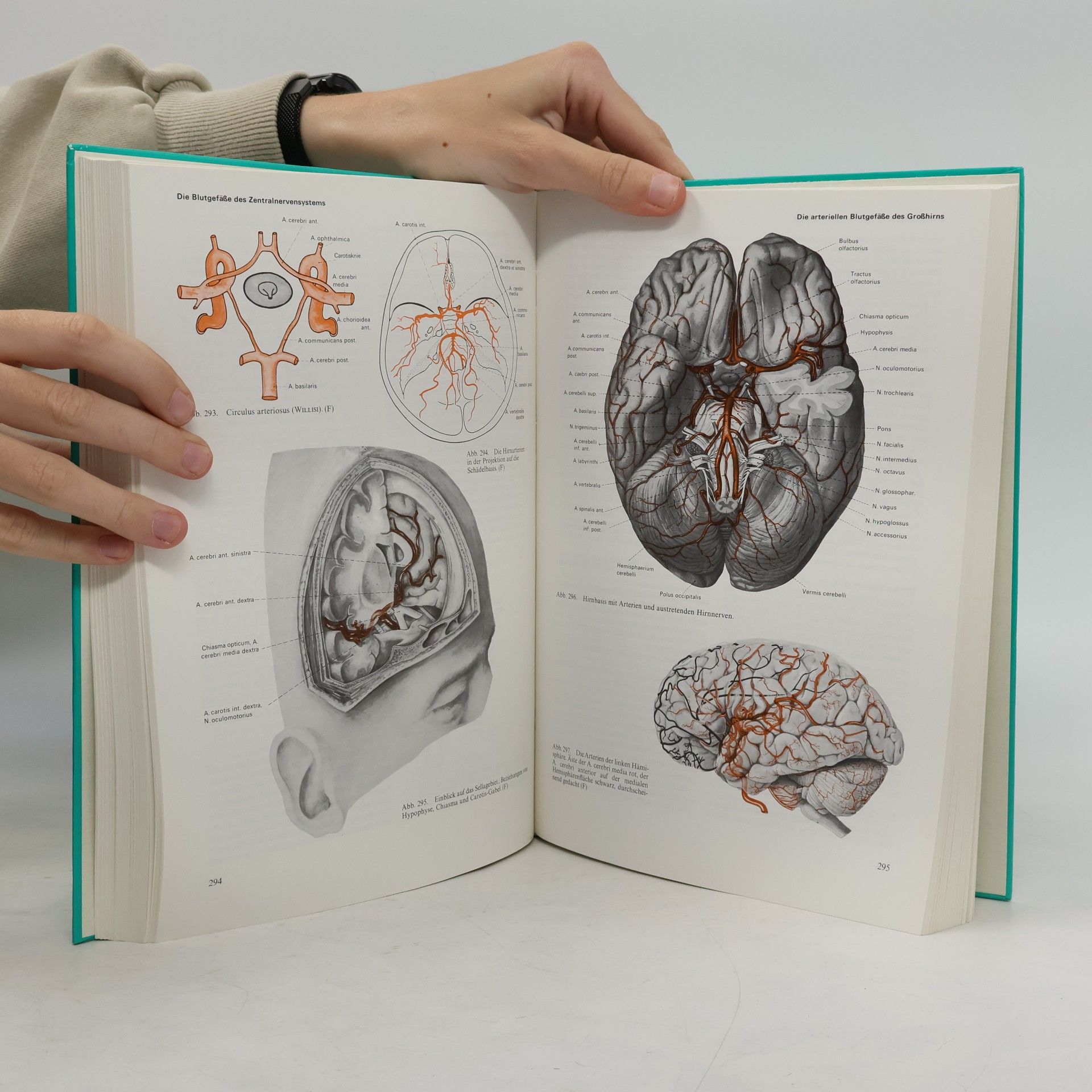 Alfred Benninghoff Lehrbuch der Anatomie des Menschen