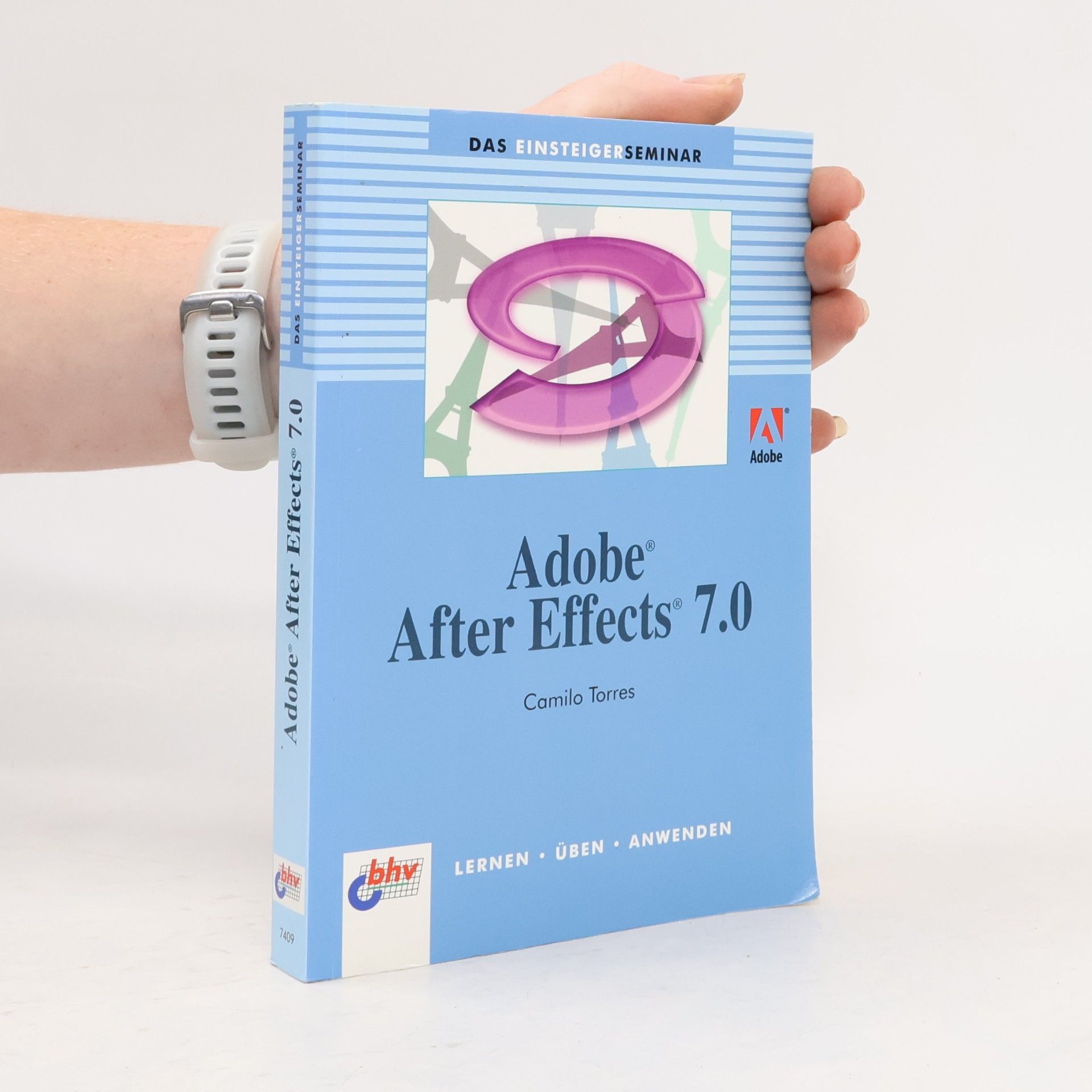 Das Einsteigerseminar Adobe After Effects 7.0