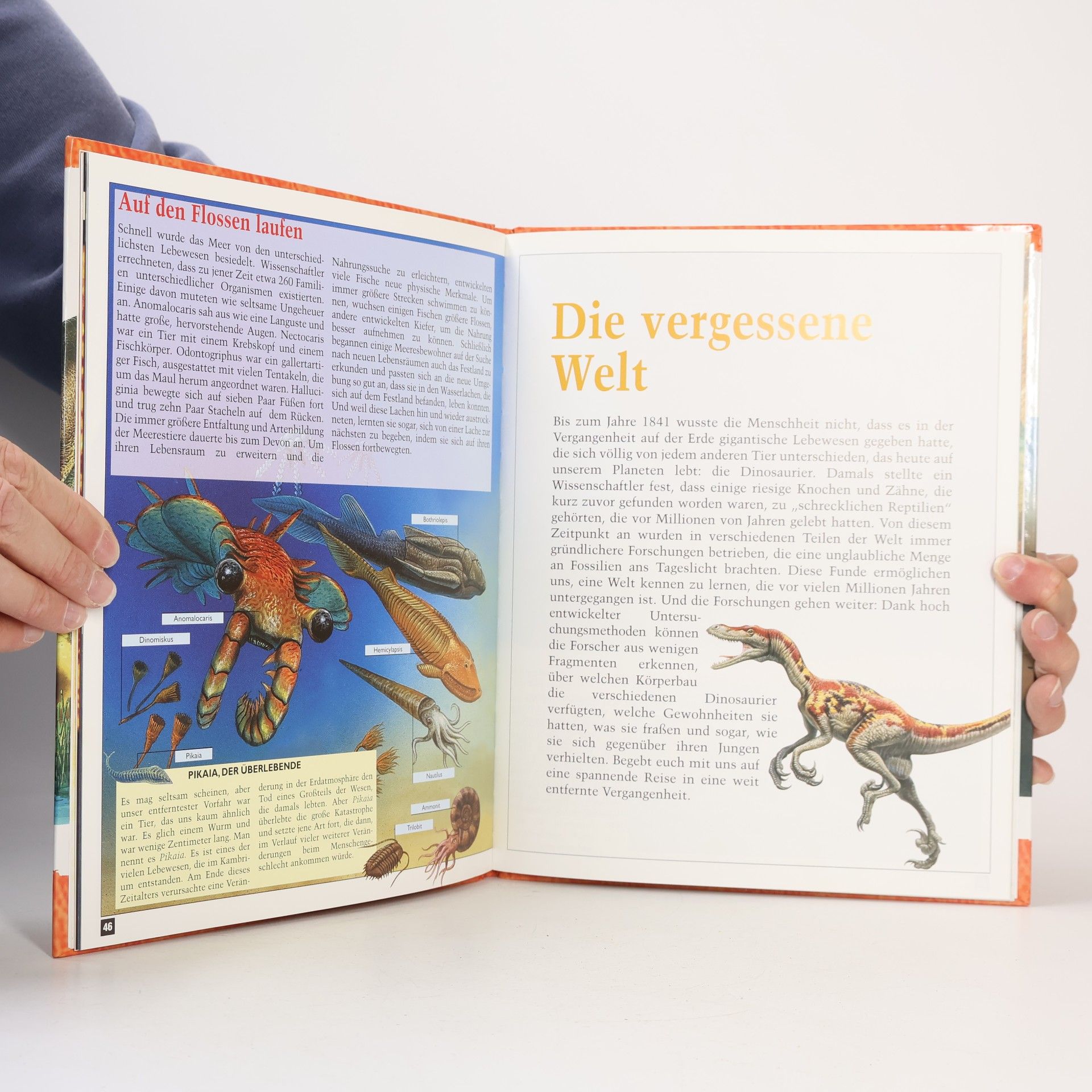Autorenkollektiv Geheimnisvolle Urzeit