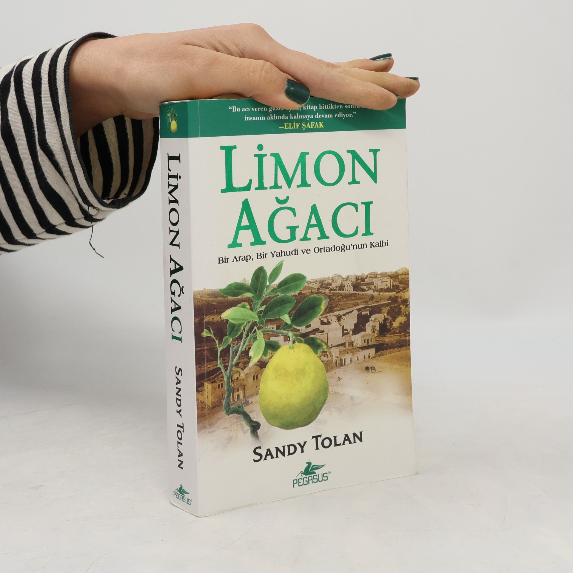 Sandy Tolan Limon Agaci