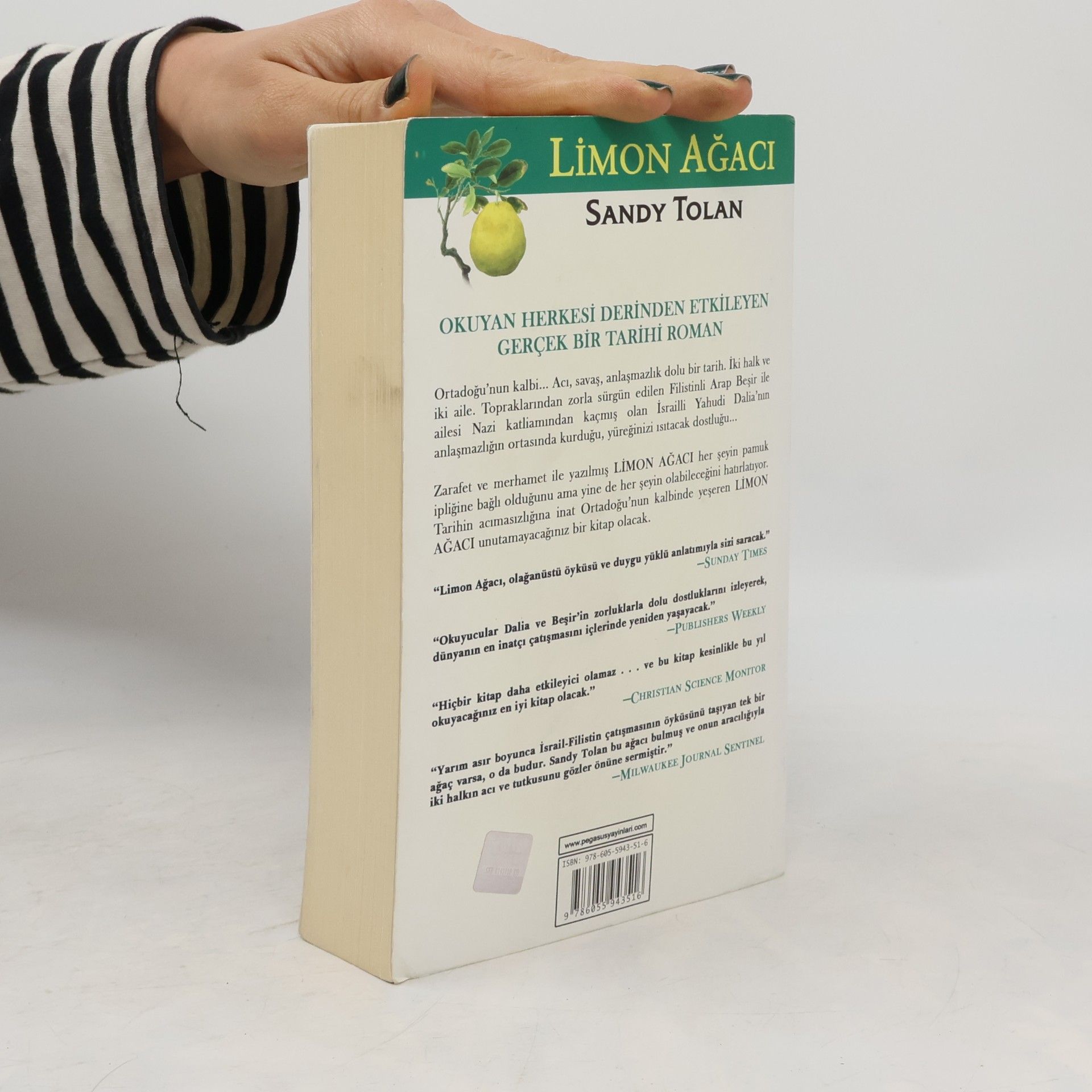 Sandy Tolan Limon Agaci