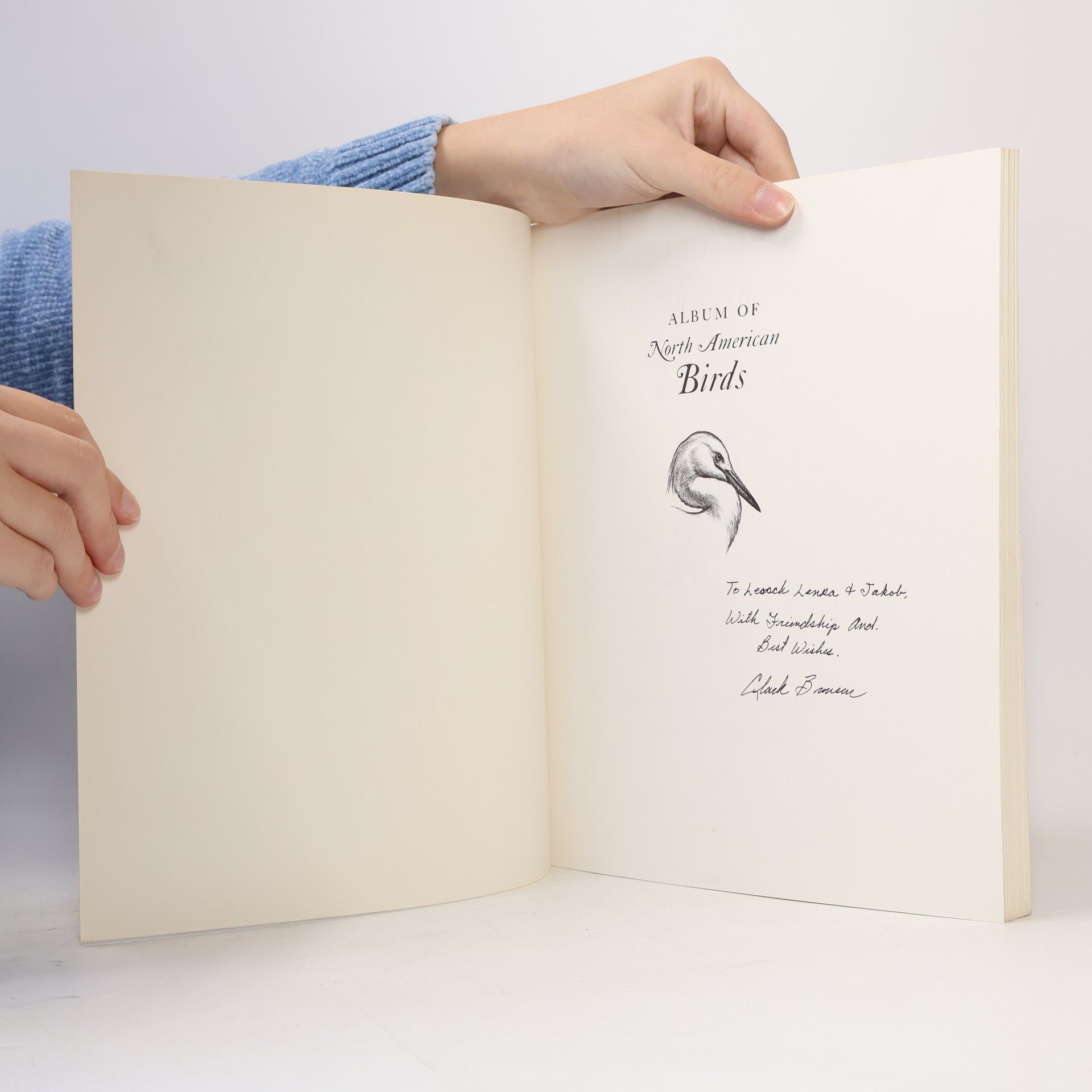 Vera Dugdale Album of North American Birds