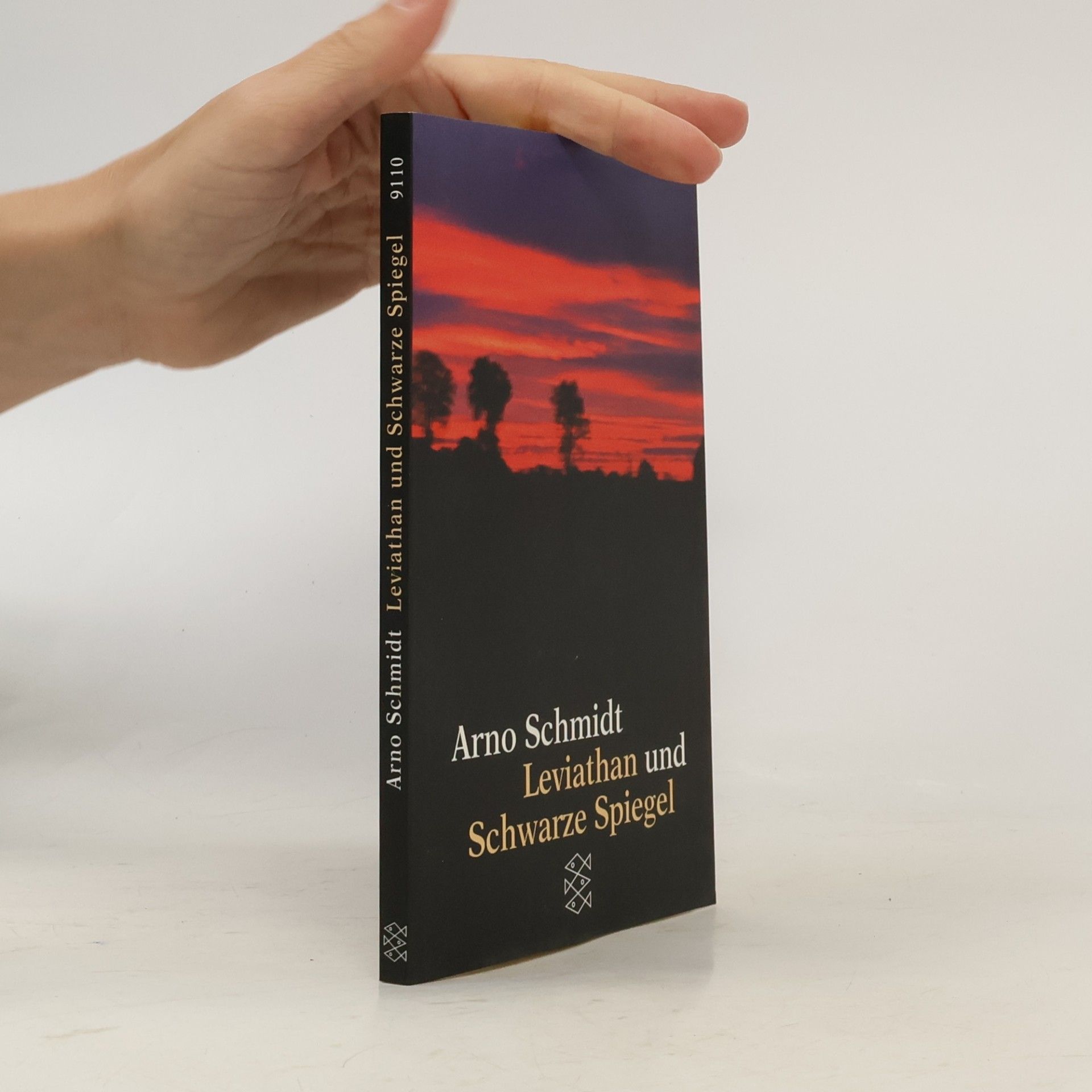 Arno Schmidt Leviathan und Schwarze Spiegel