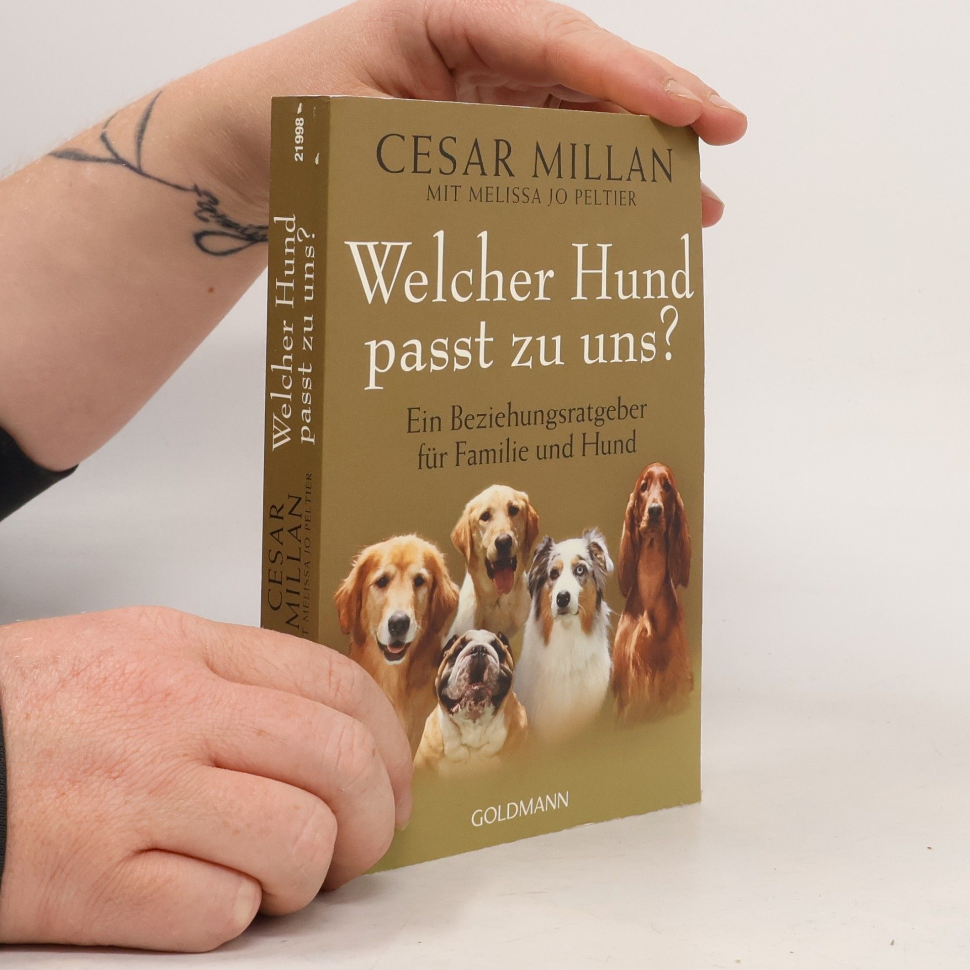 Welcher Hund passt zu uns?