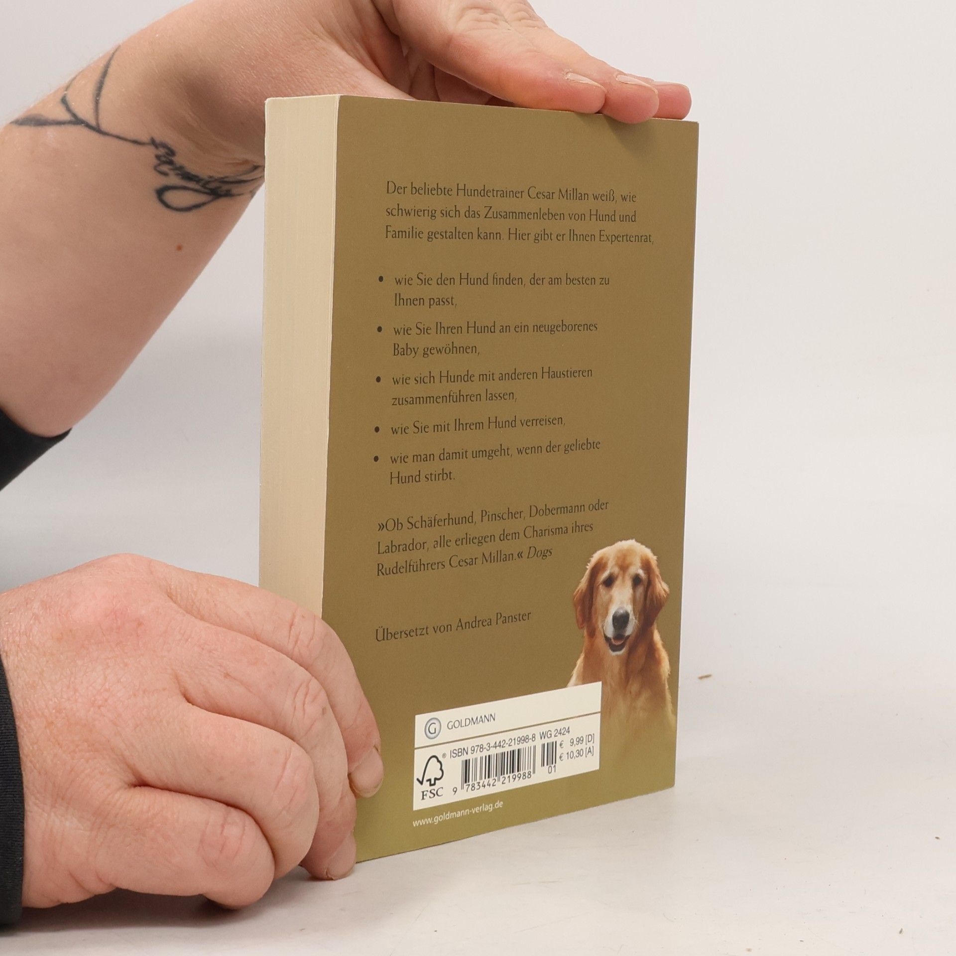 Cesar Millan Welcher Hund passt zu uns?