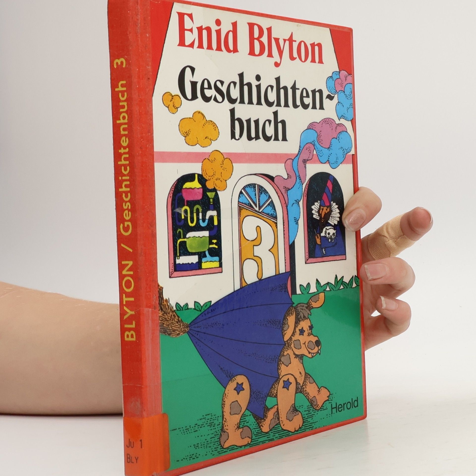 Enid Blyton Geschichtenbuch