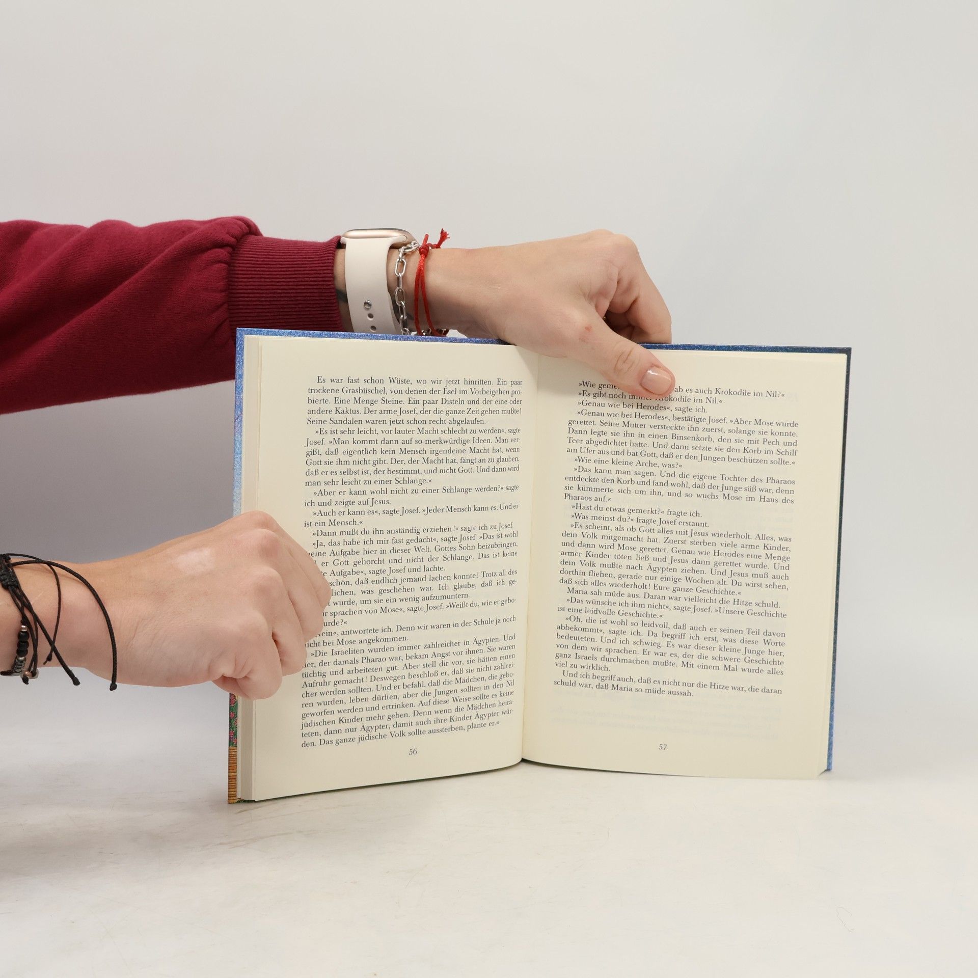 Lars Collmar Die wunderbaren Abenteuer des kleinen Johannes Larsson in der Welt der Bibel