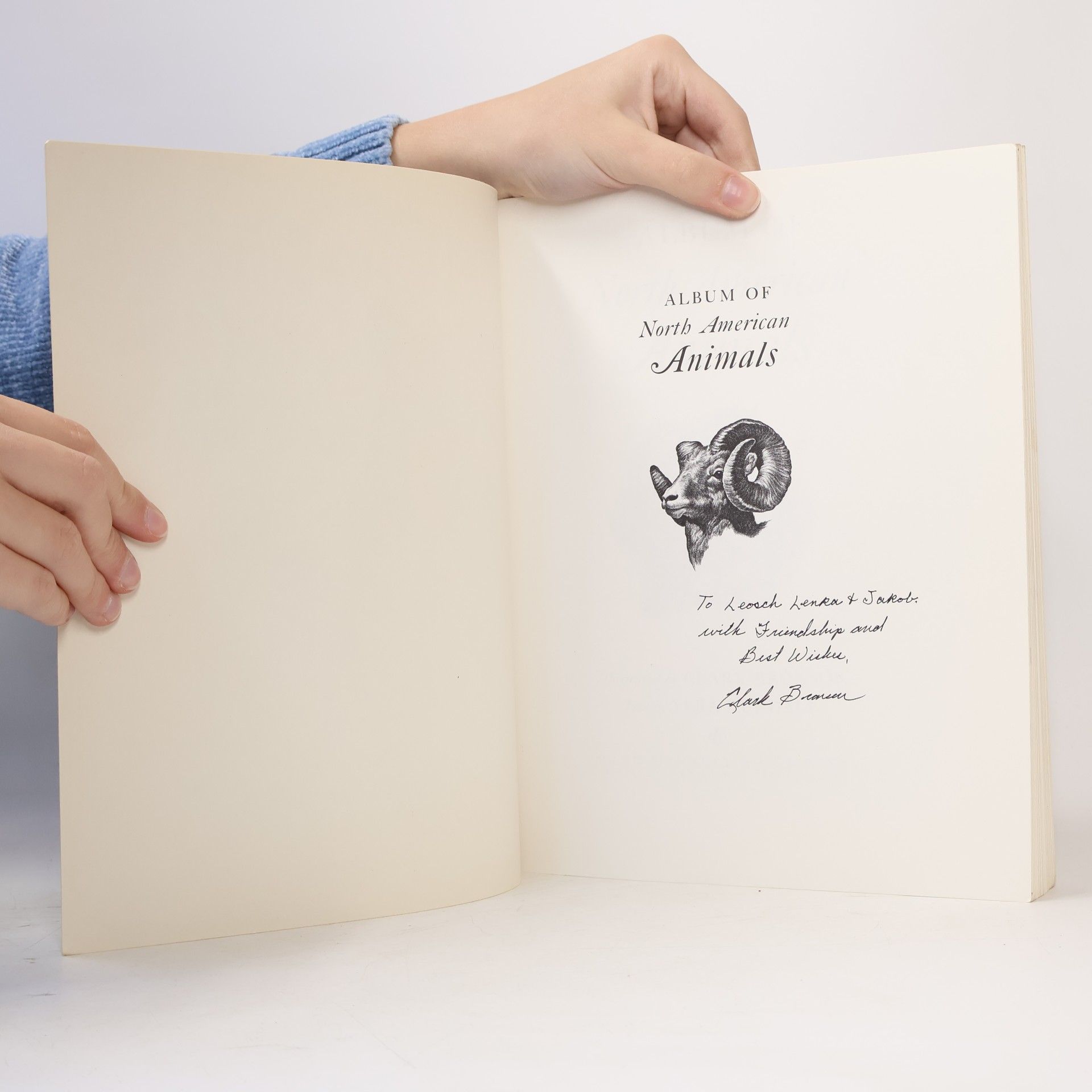 Vera Dugdale Album of North American Animals