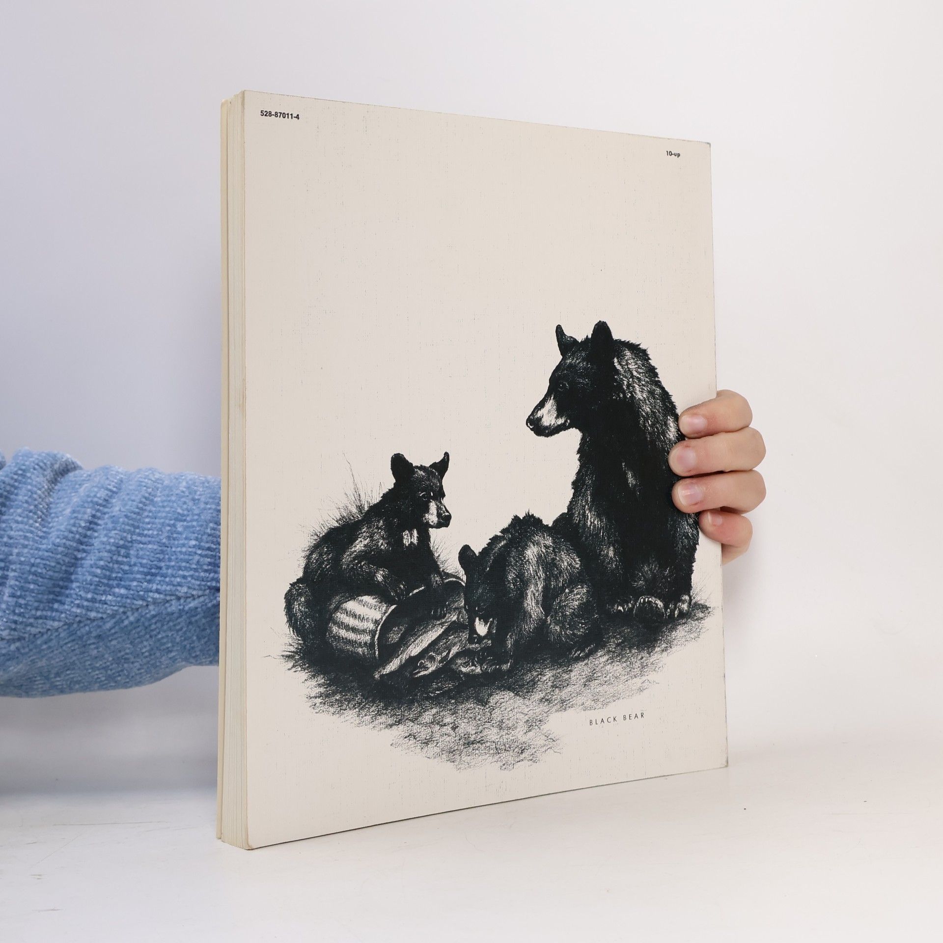 Vera Dugdale Album of North American Animals