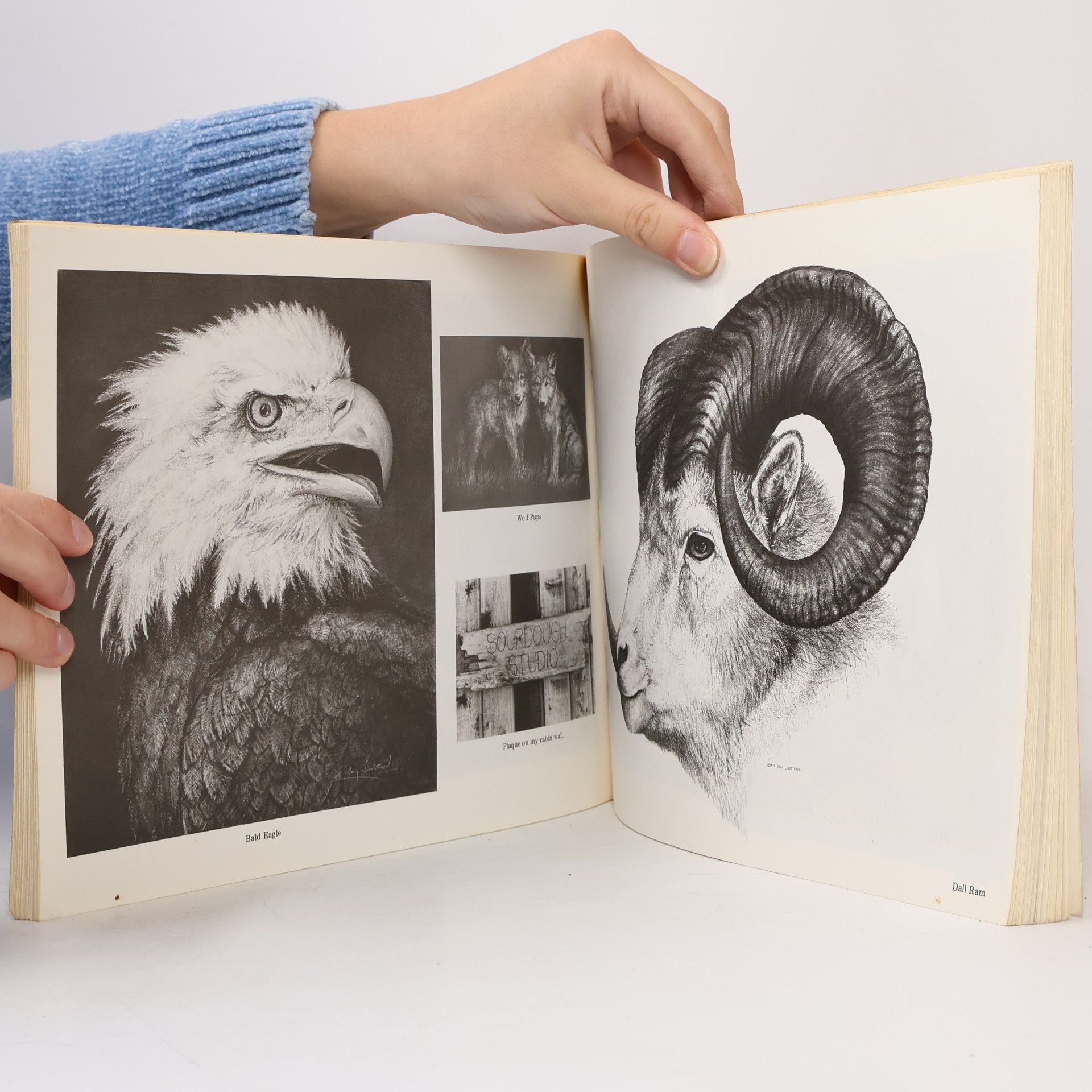 Doug Lindstrand Doug Lindstrand's Alaskan Sketchbook