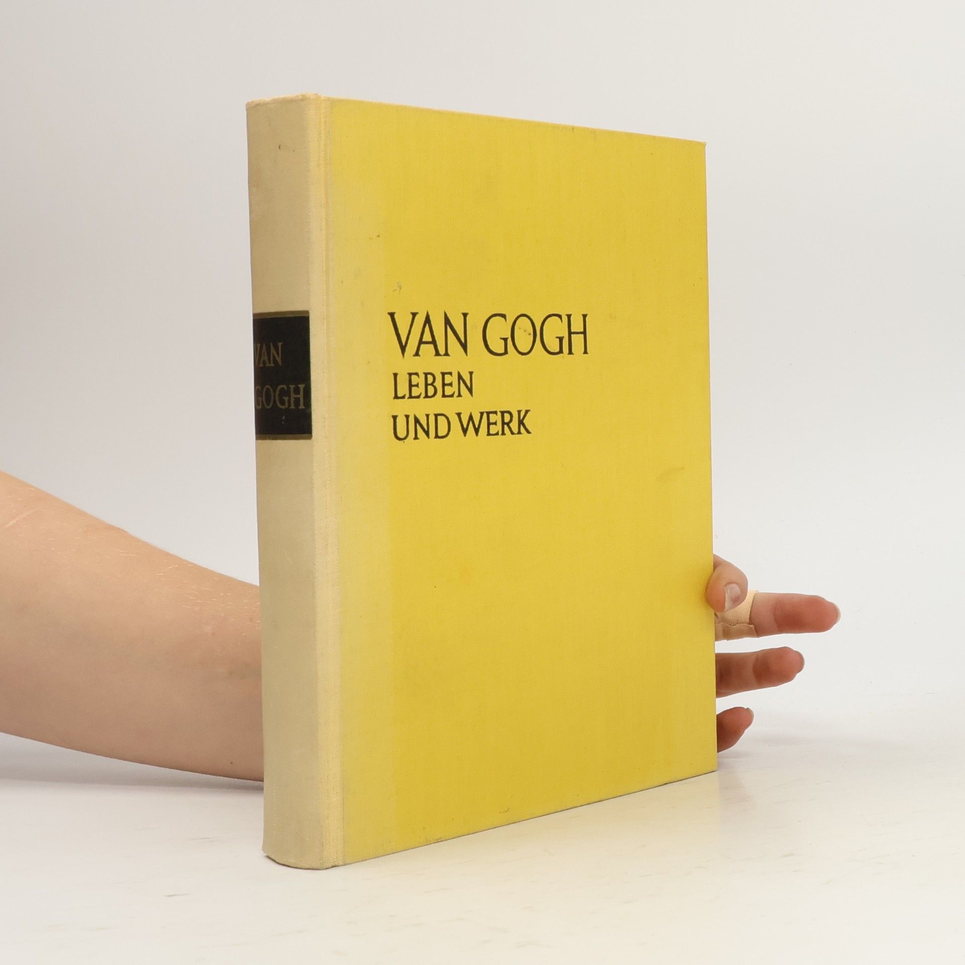 Vincent van Gogh. Leben und Werk