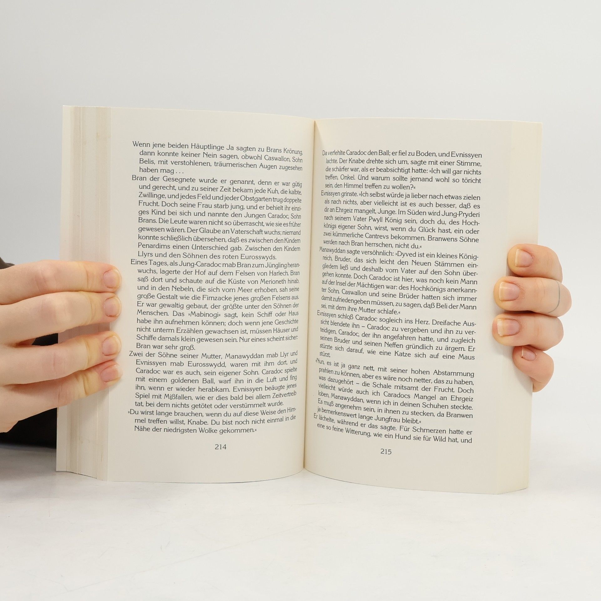 Evangeline Walton Die vier Zweige des Mabinogi 1-2