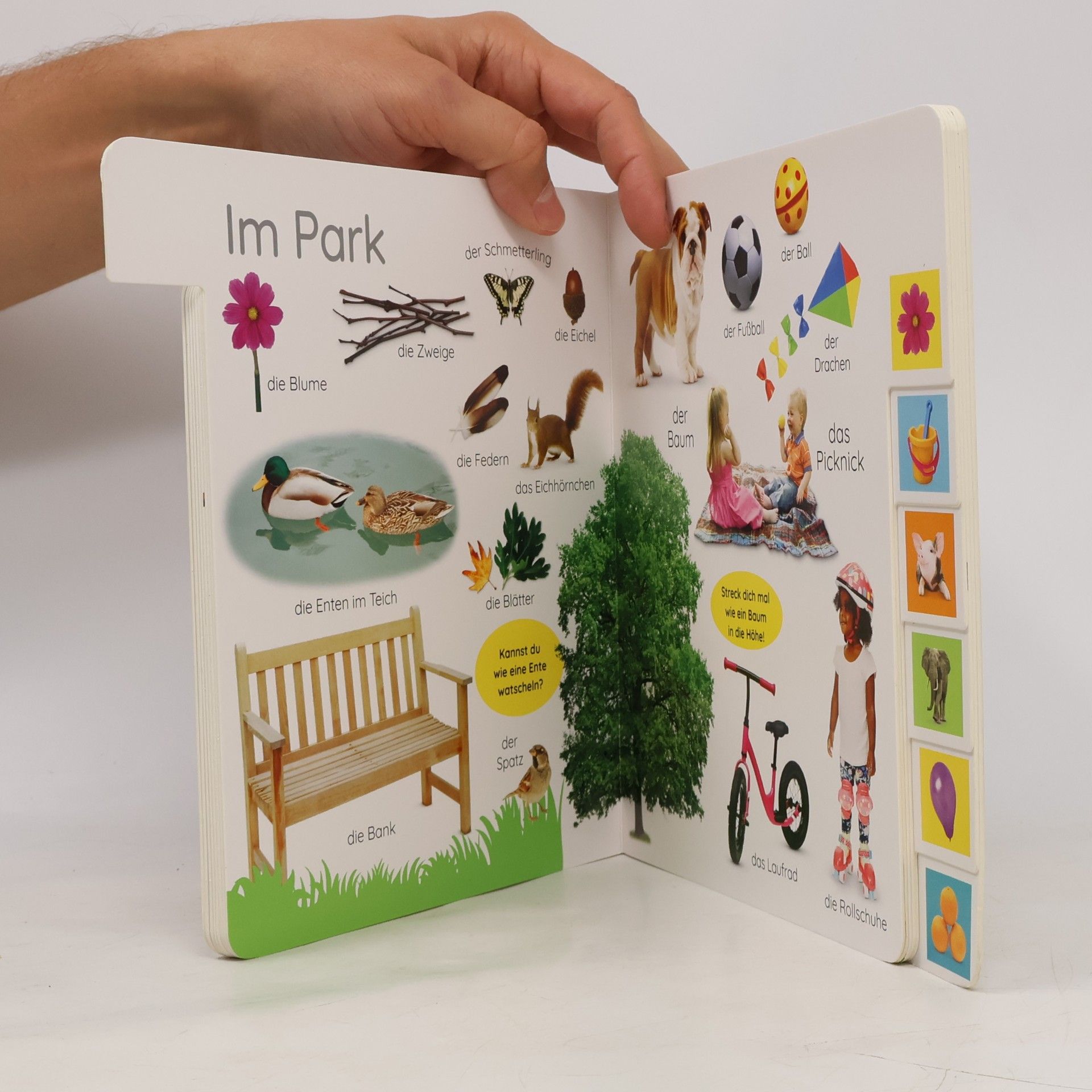 Dorling Kindersley Verlag Erstes Lernen. Wörter