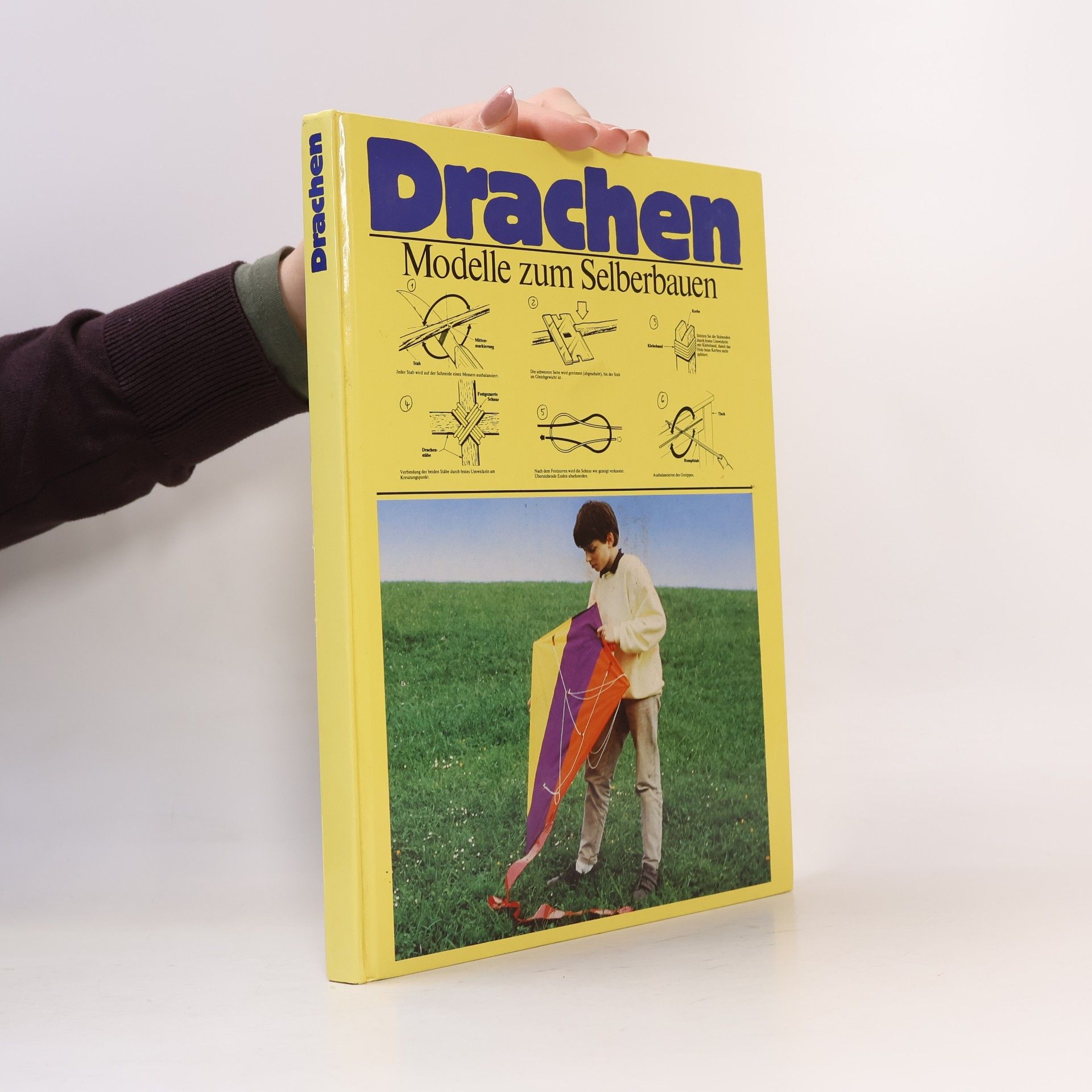 Drachen