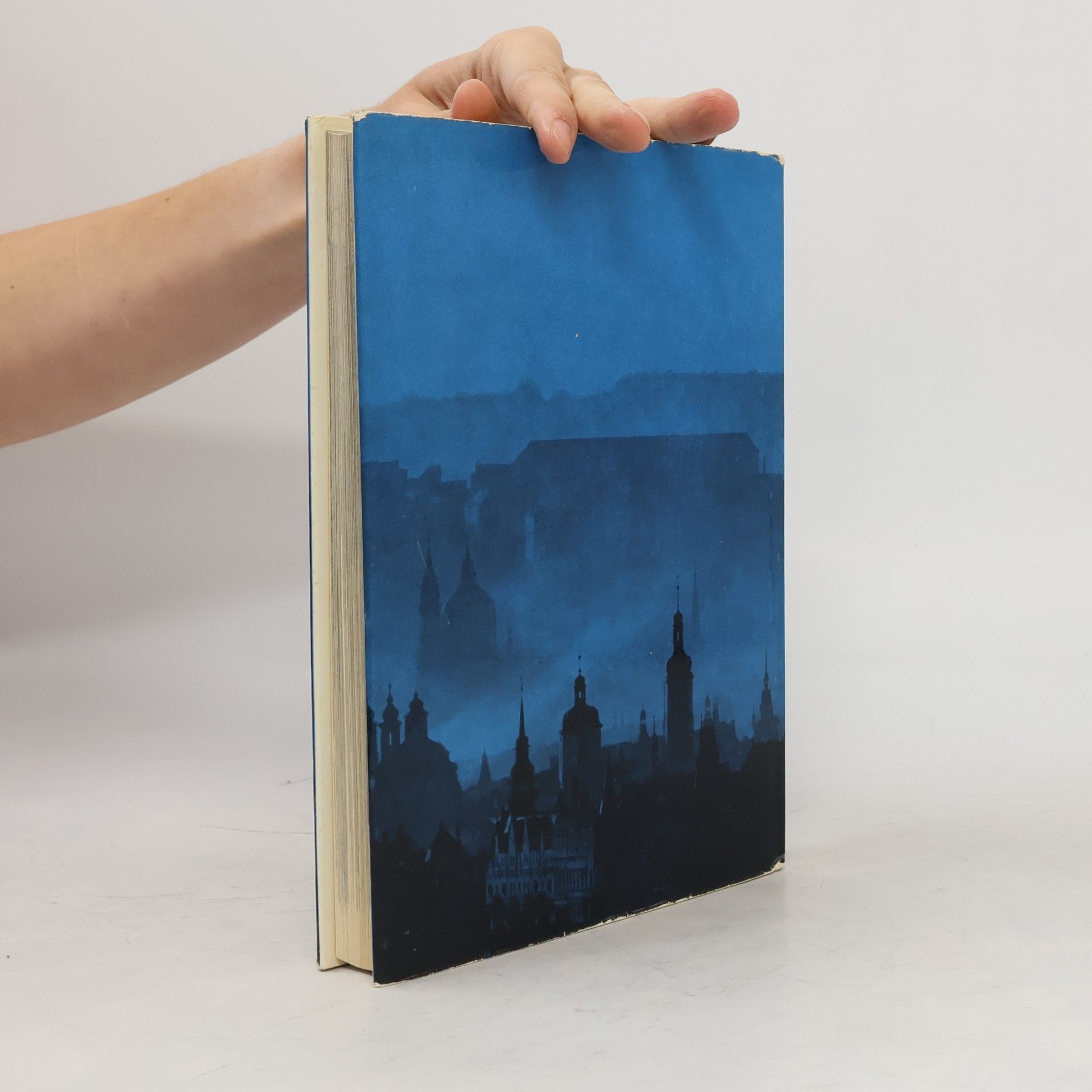 Vojtěch Volavka Kunstwanderungen durch Prag