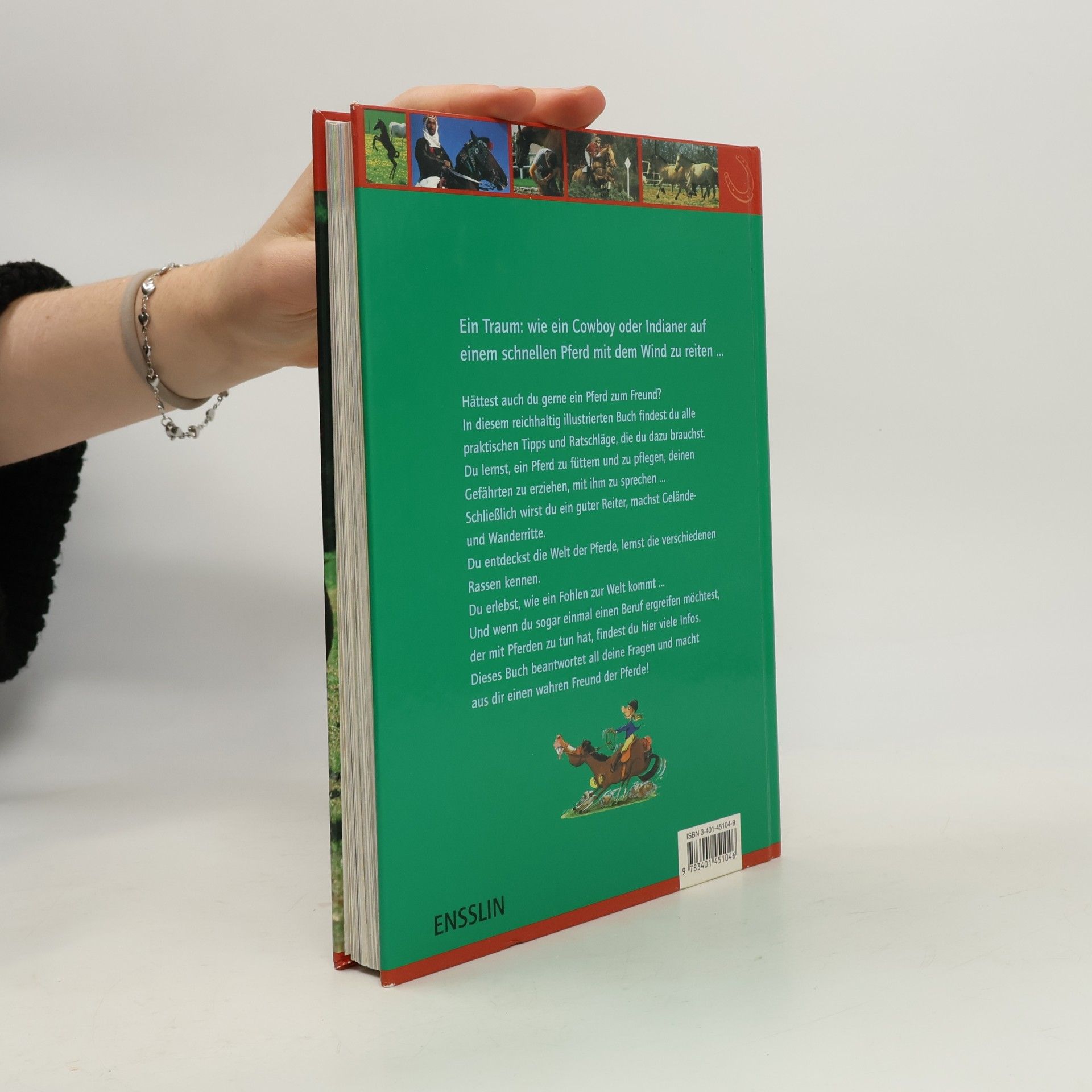 Jean Franc ois Ballereau Das große Buch der Pferde und Ponys