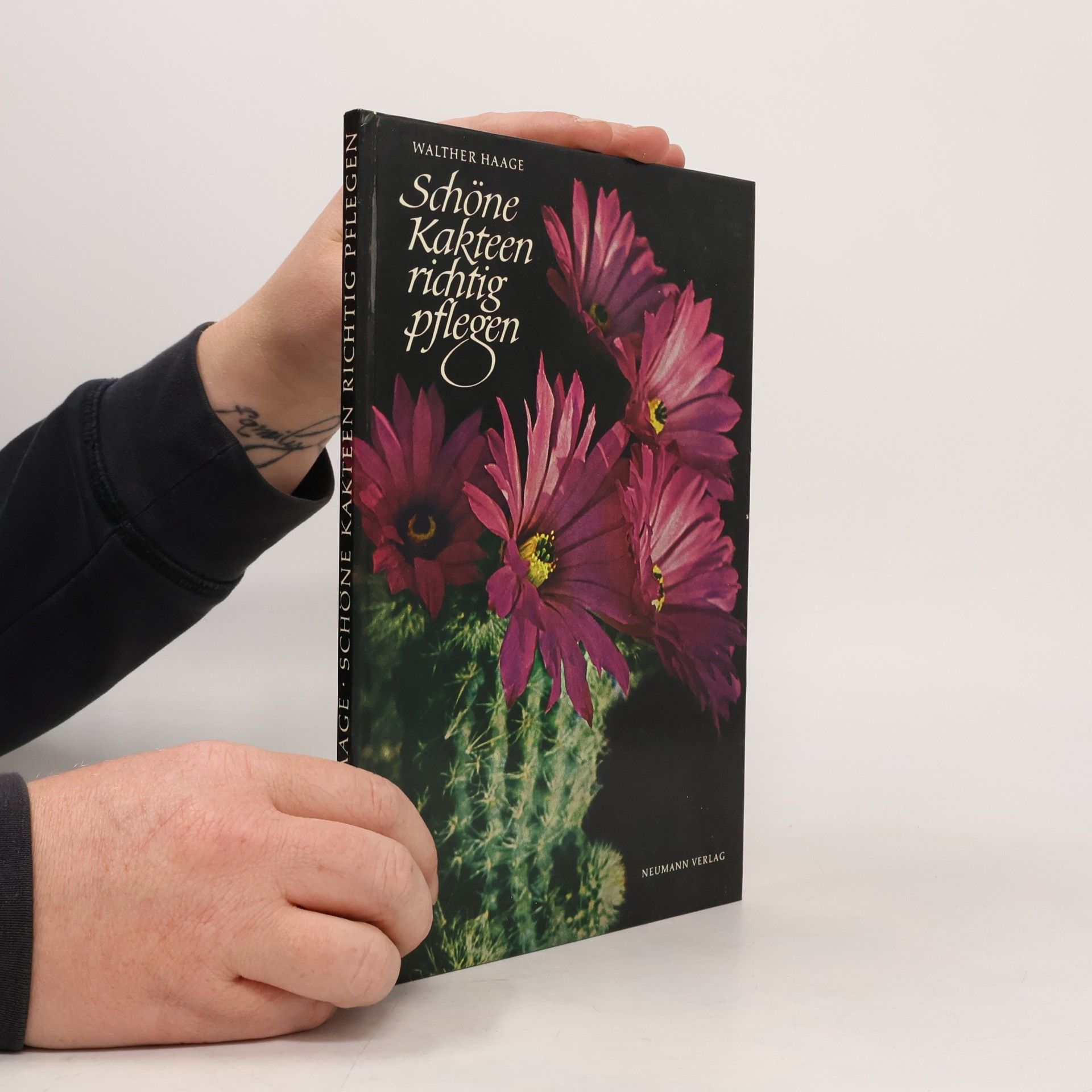 Walther Haage Schöne Kakteen richtig pflegen