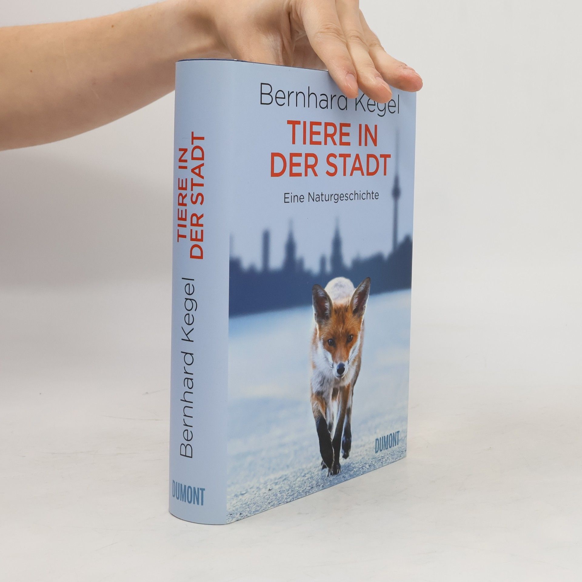 Tiere in der Stadt