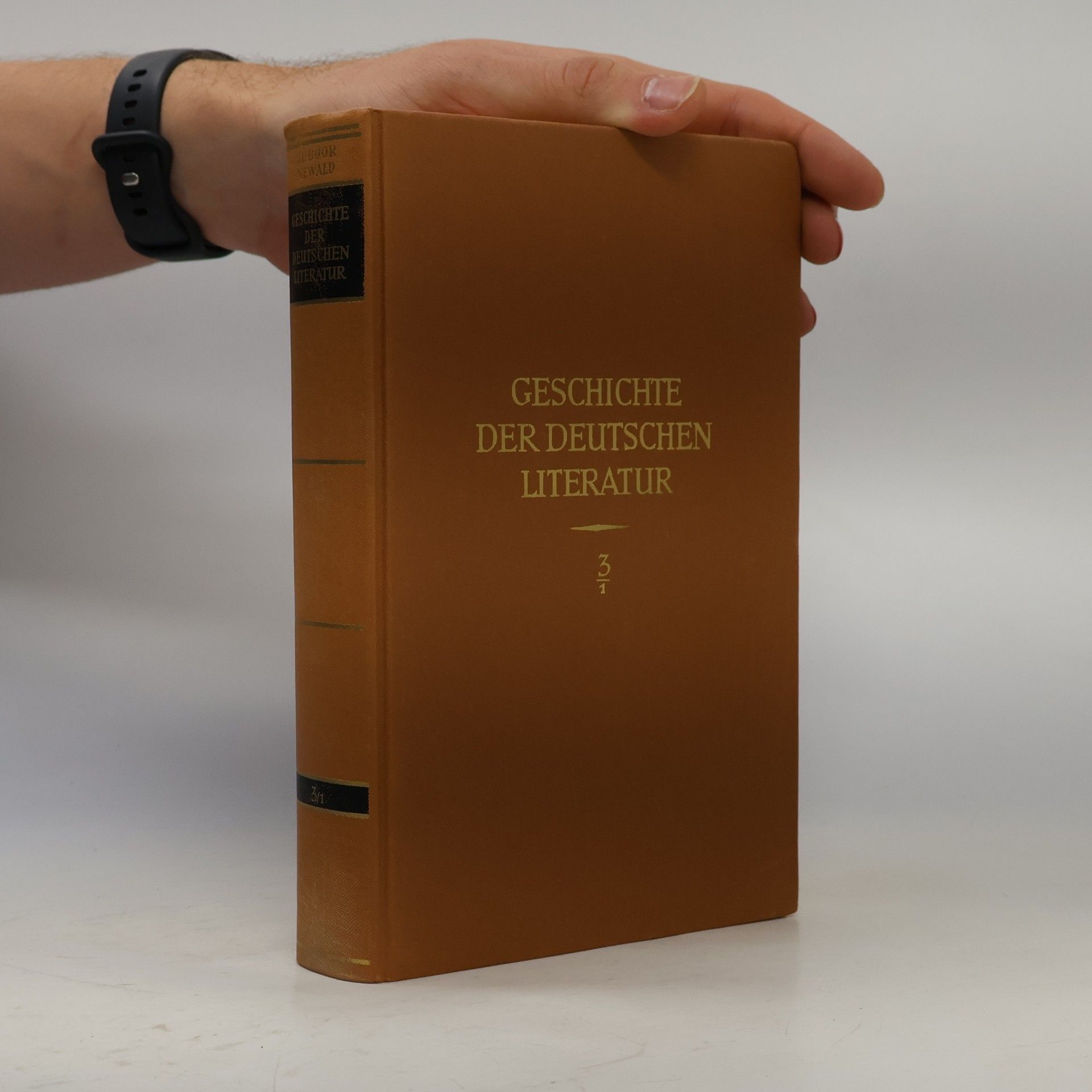 Geschichte der deutschen Literatur von den Anfängen bis zur Gegenwart
