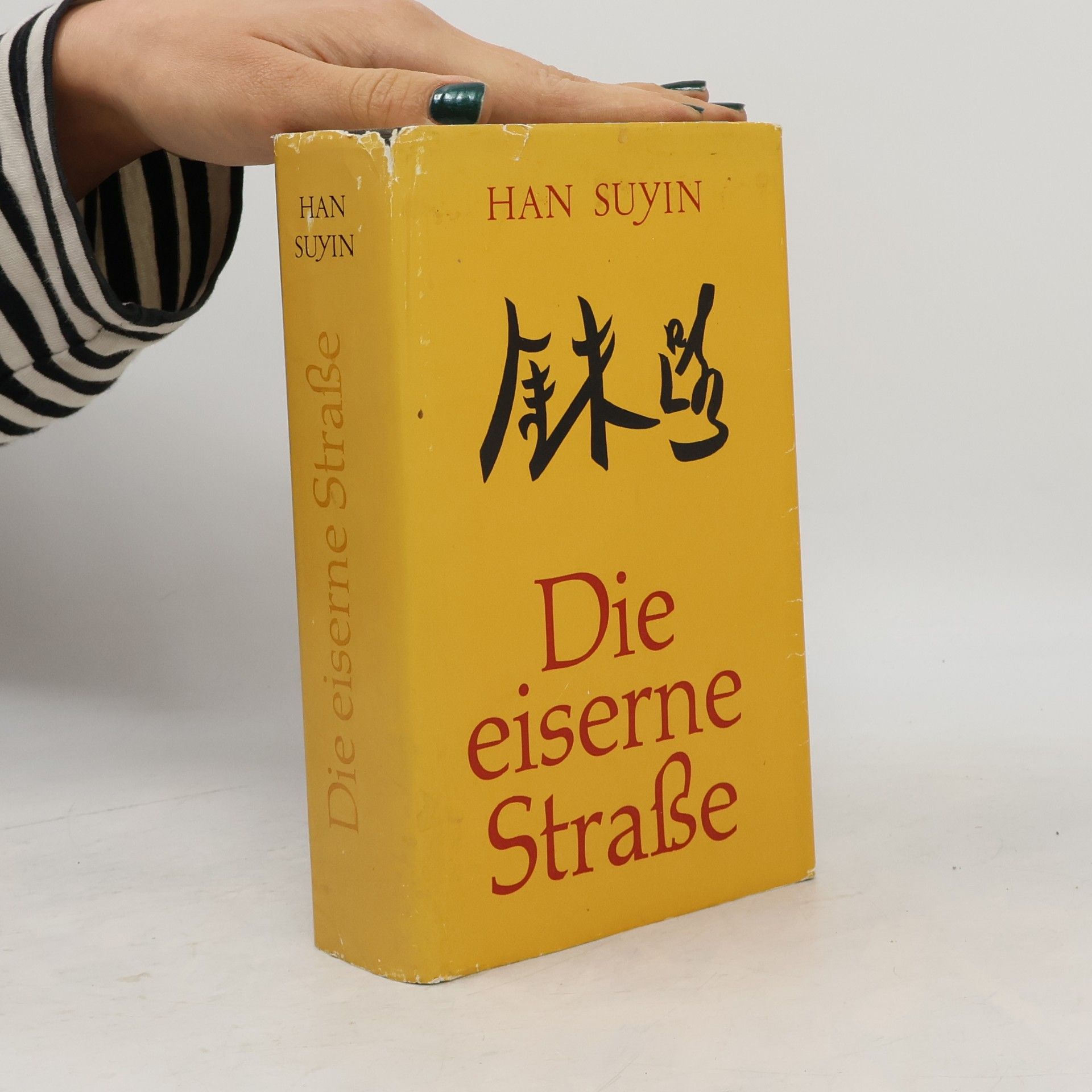 Die eiserne Straße
