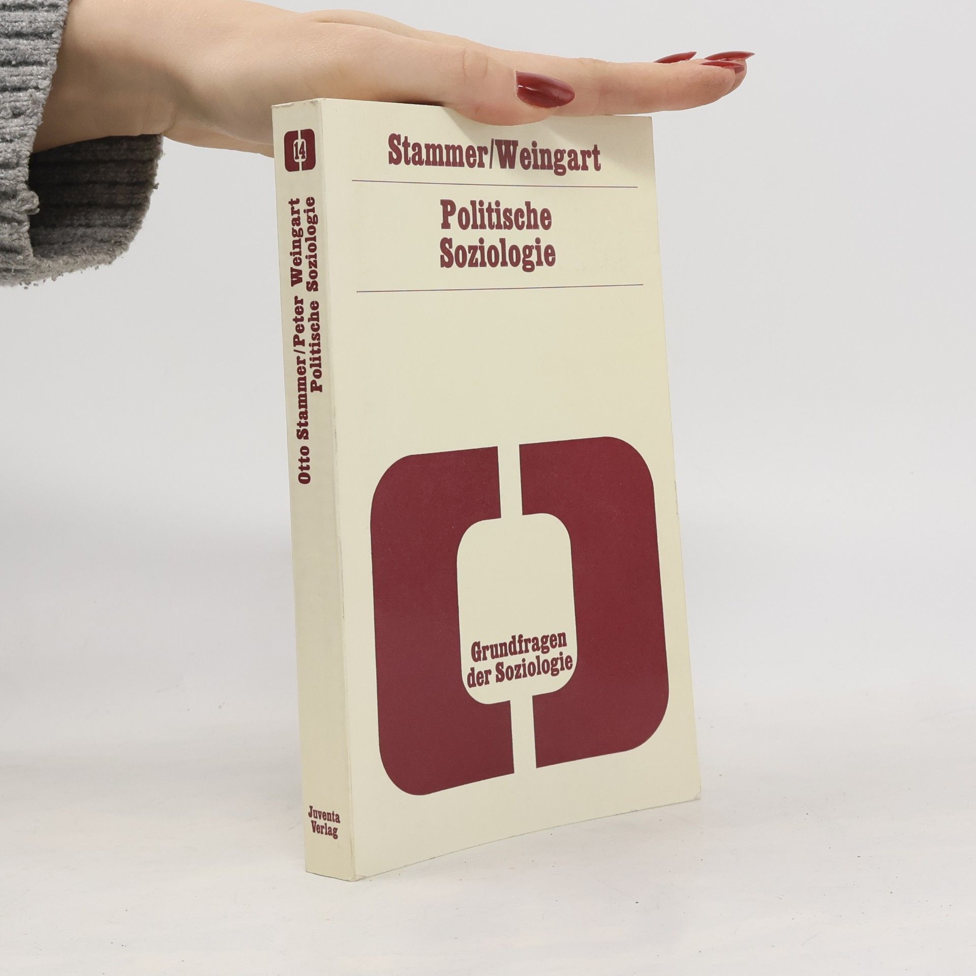 Politische Soziologie